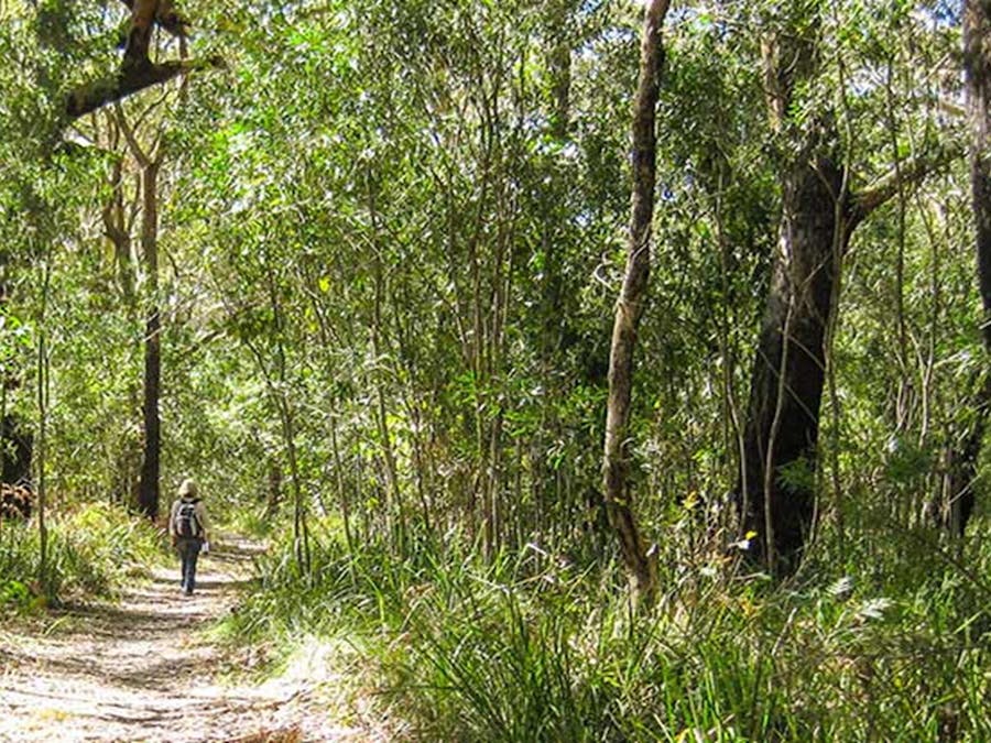 Seven Mile Beach National Park. Photo: P Lunnon/NSW Government