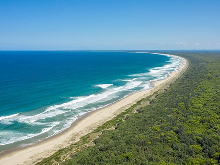 An aerial shot of Seven Mile Beach and surrounding coastal forest in Seven Mile Beach National Park.