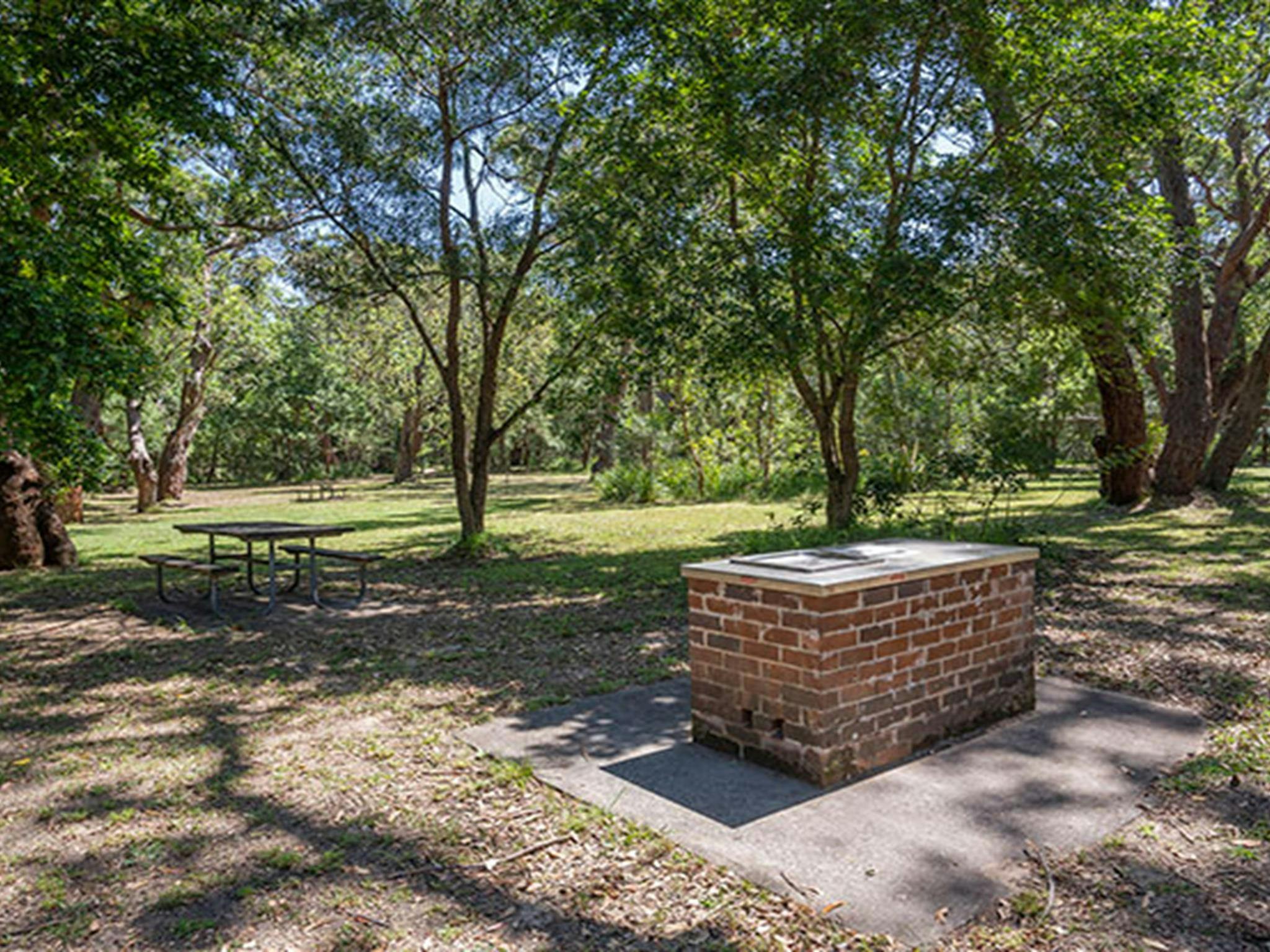 A barbecue in the picnic area behind Seven Mile Beach in Seven Mile Beach National Park. Photo: John
