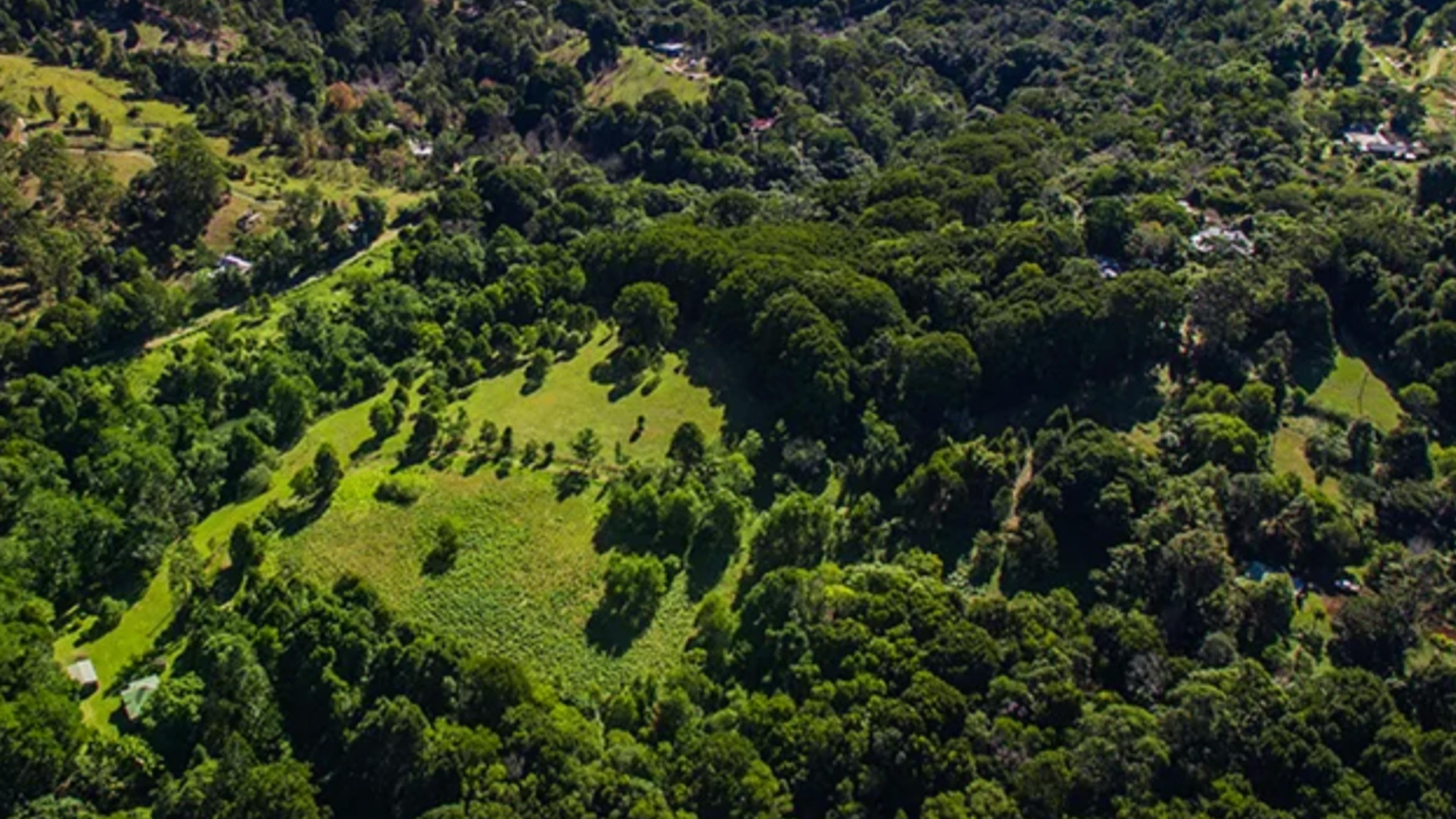 Hinterland Creek Retreat