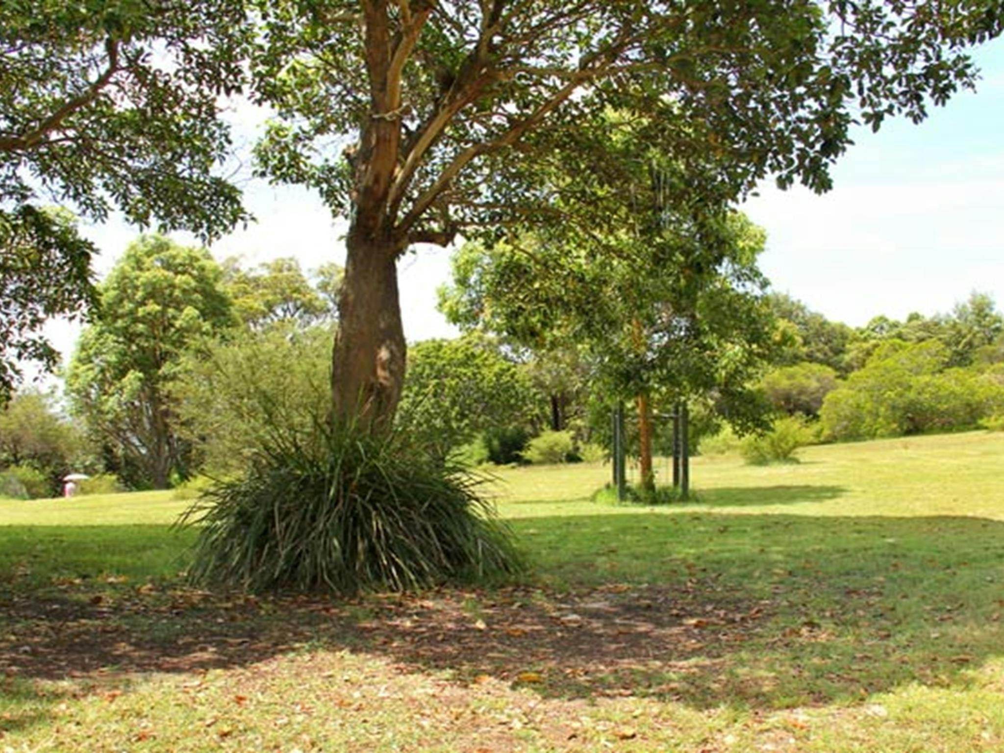 Shakespeare Point, Sydney Harbour National Park. Photo: John Yurasek/NSW Government