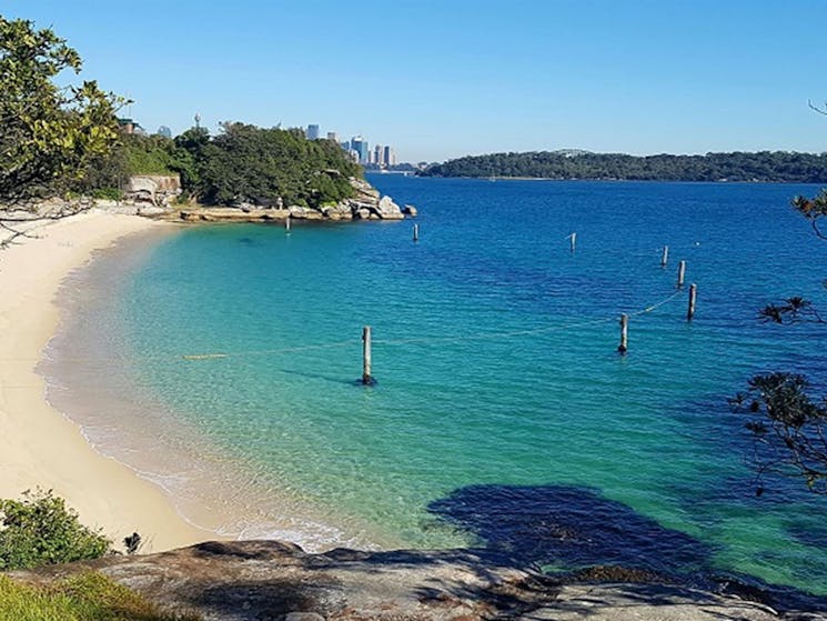 View of Shark Beach from Shakespeares Point in Sydney Harbour National Park. Photo: Amanda