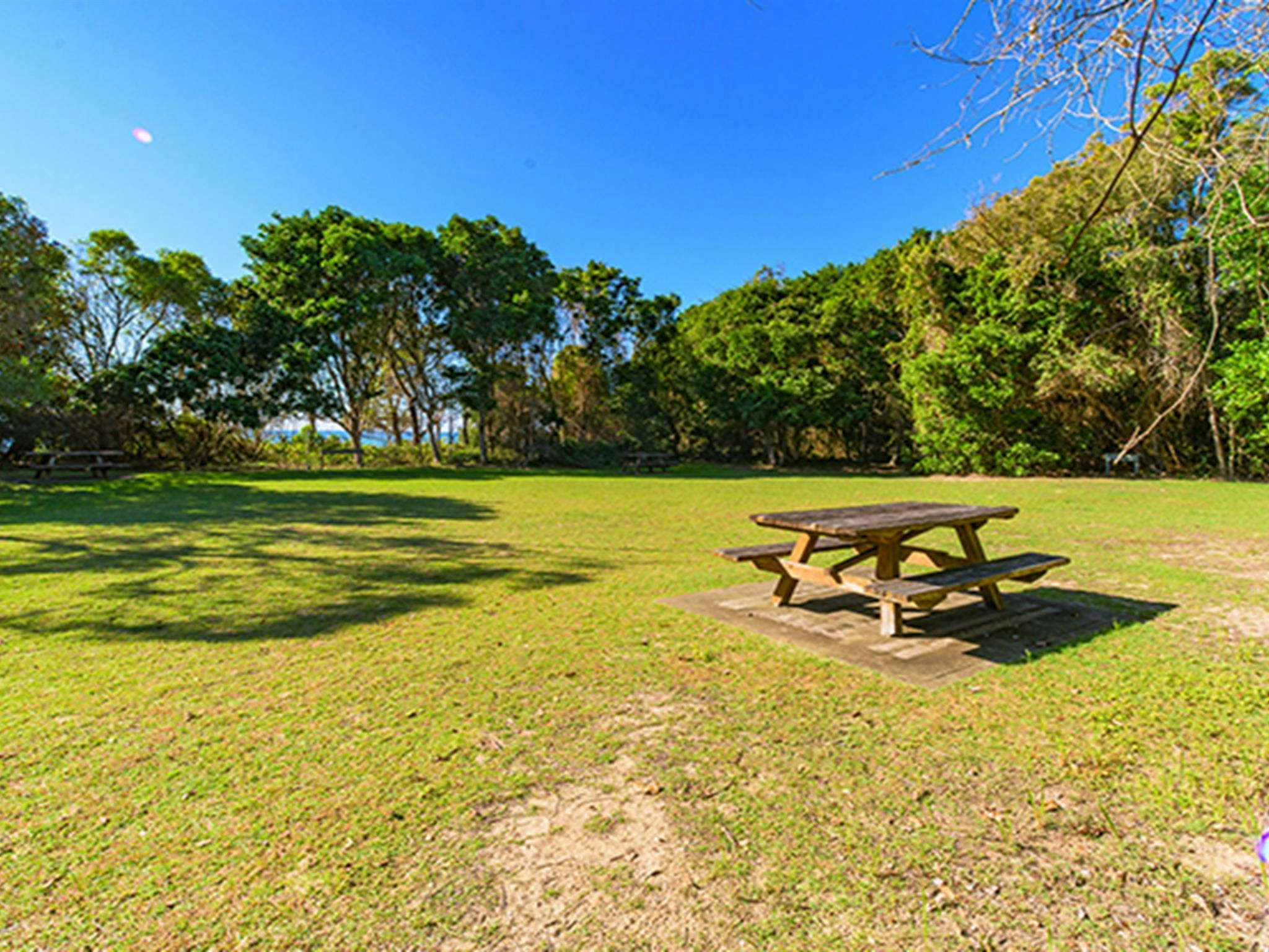 Picnic area showing flat site covered with grass and surrounded by coastal forest. Photo: Jessica