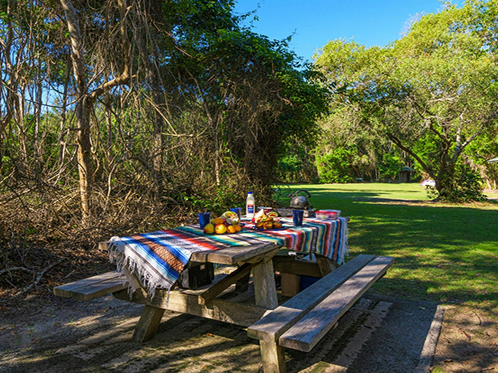 Shark Bay picnic area with shaded picnic table in the foreground. Photo: Jessica Robertson/OEH.