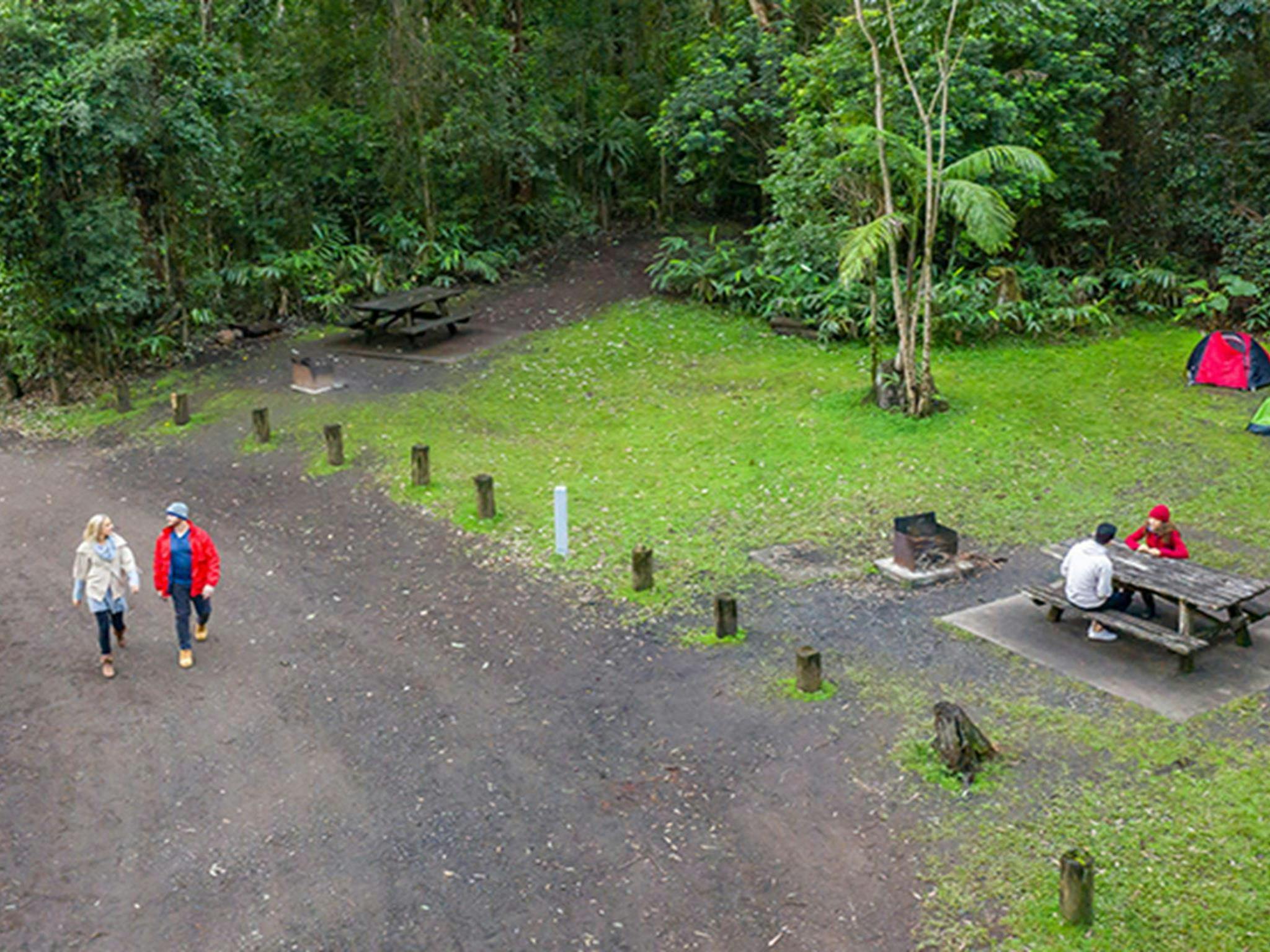 Pitch your tent at Sheepstation Creek campground, Border Ranges National Park. Photo: DPIE/ John