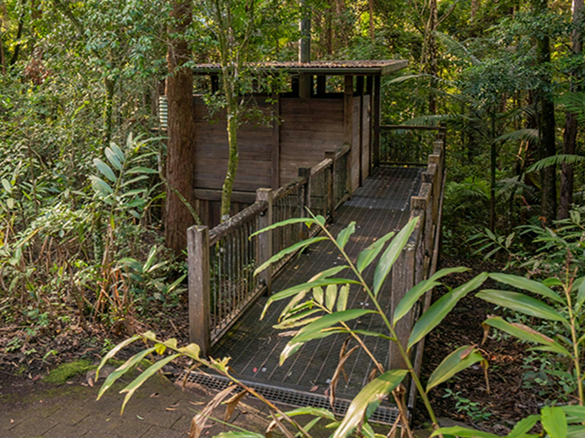 Wheelchair accessible toilet facilities, Sheepstation Creek campground, Border Ranges National Park.