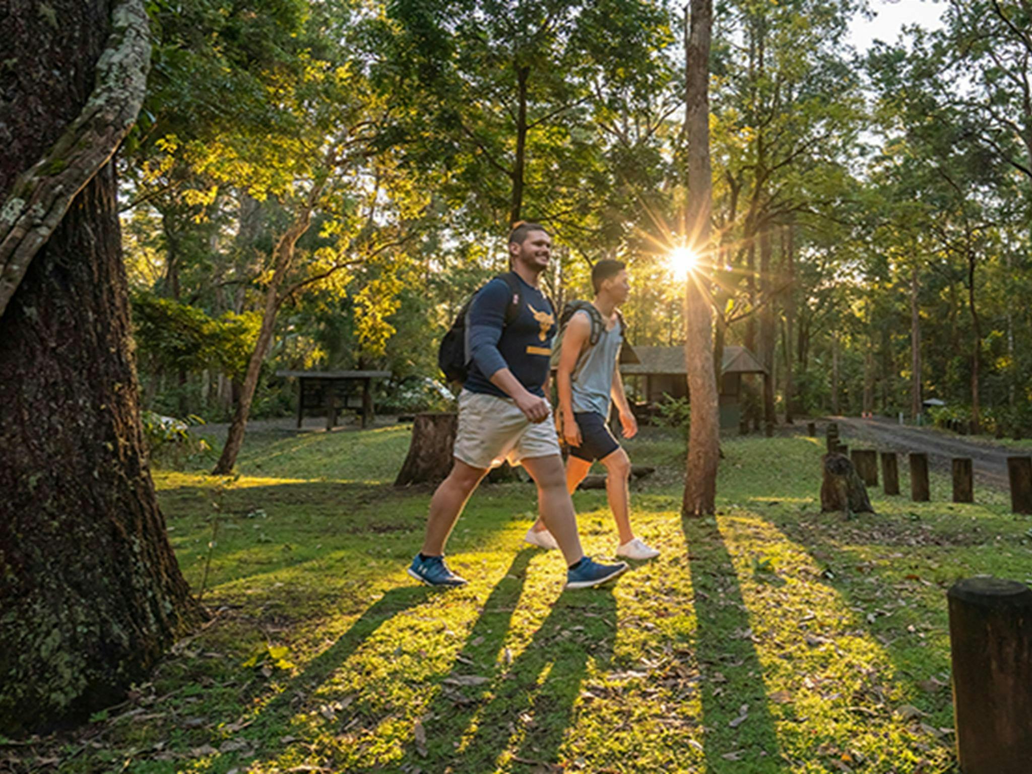 Two men walk across grass at Sheepstation Creek campground, Border Ranges National Park. Photo