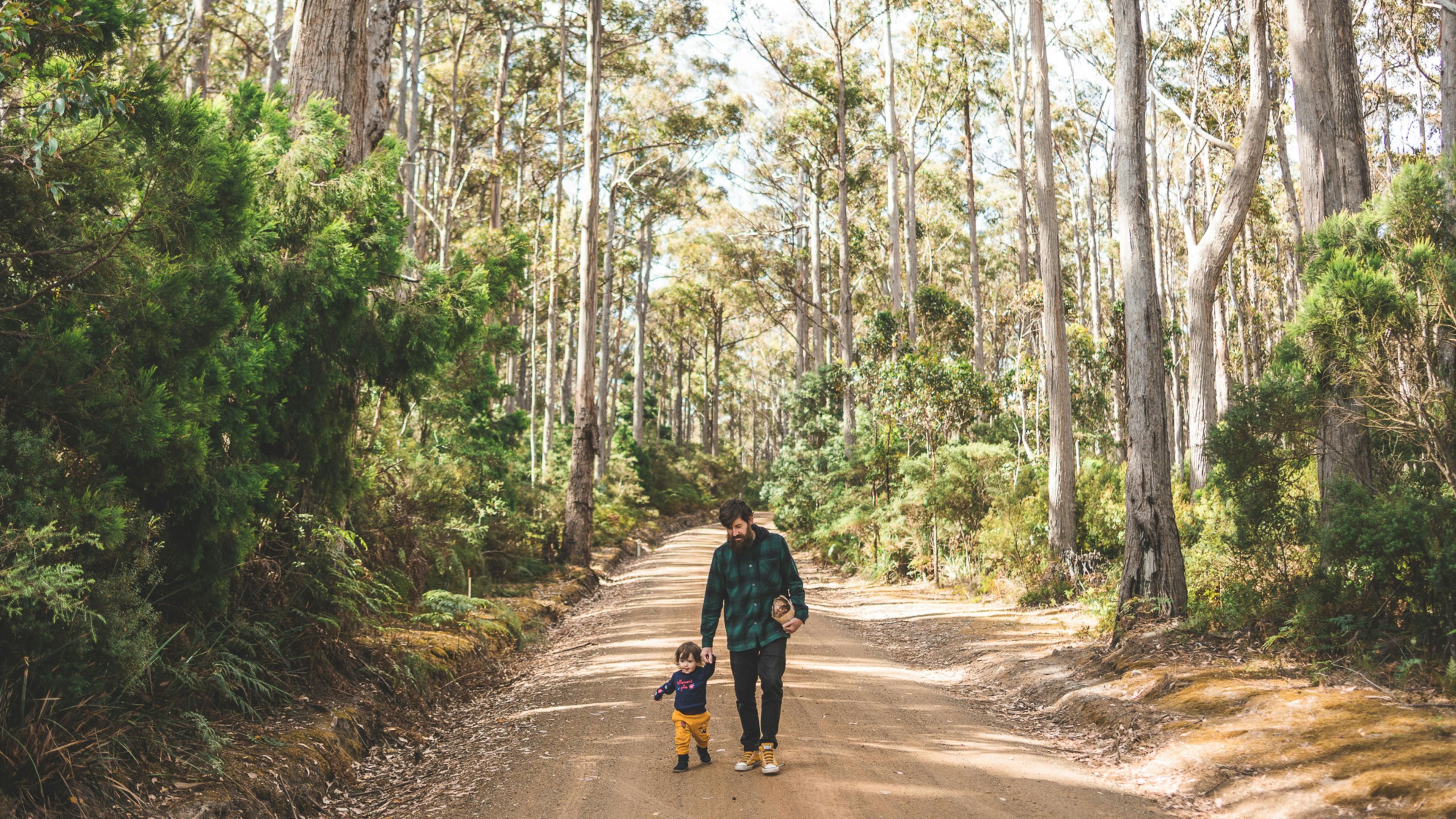 Sheepwash Rd Camp, South Bruny