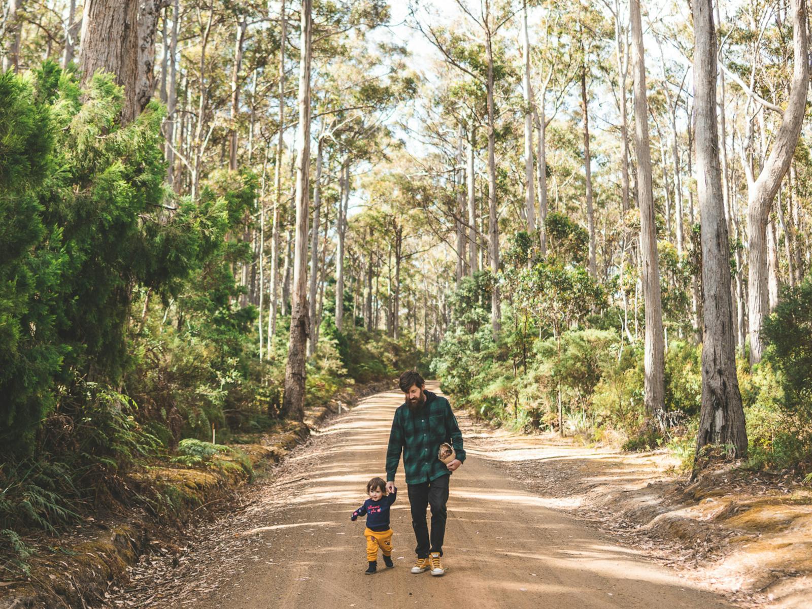 Sheepwash Rd Camp, South Bruny