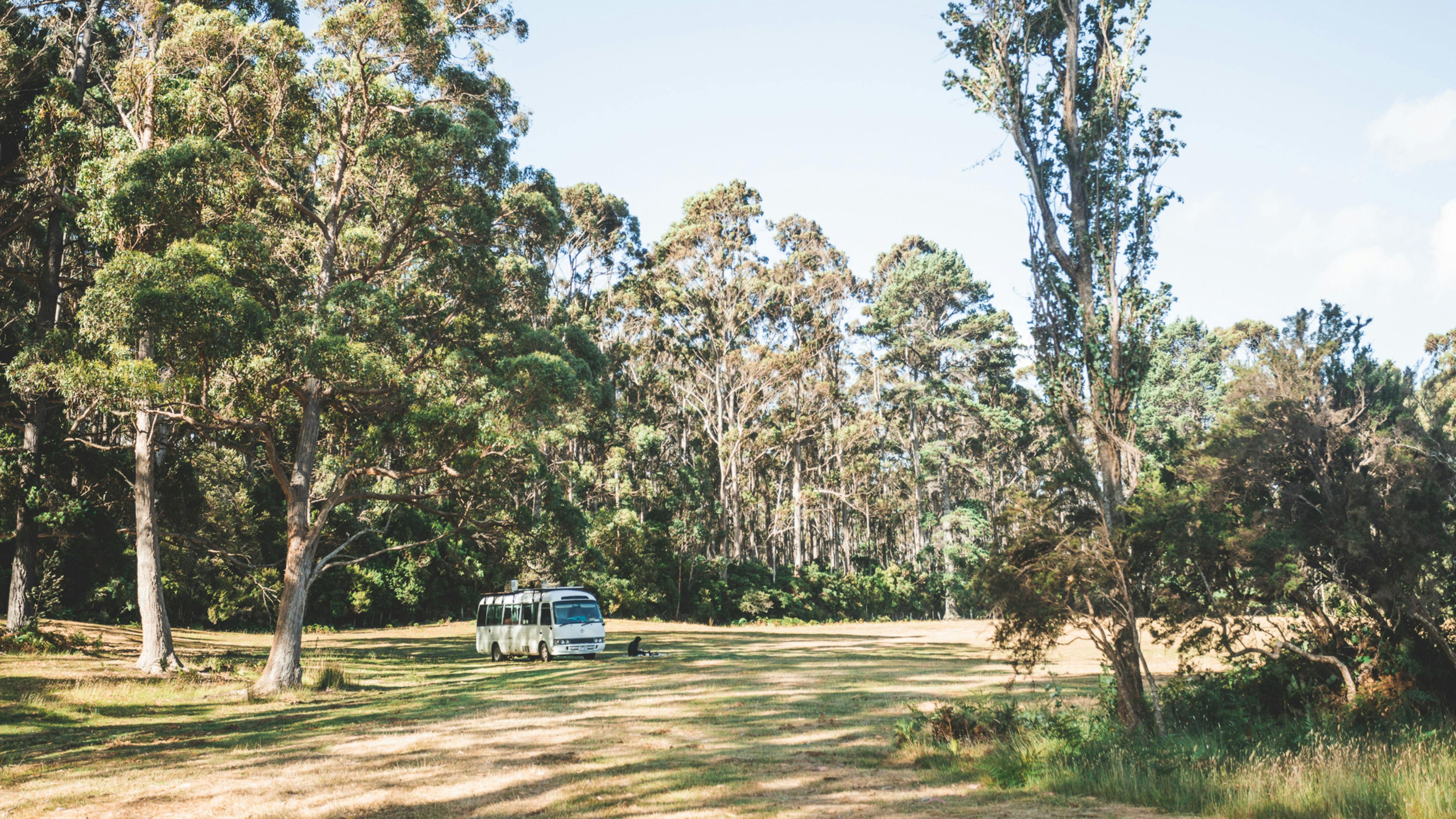 Sheepwash Rd Camp, South Bruny