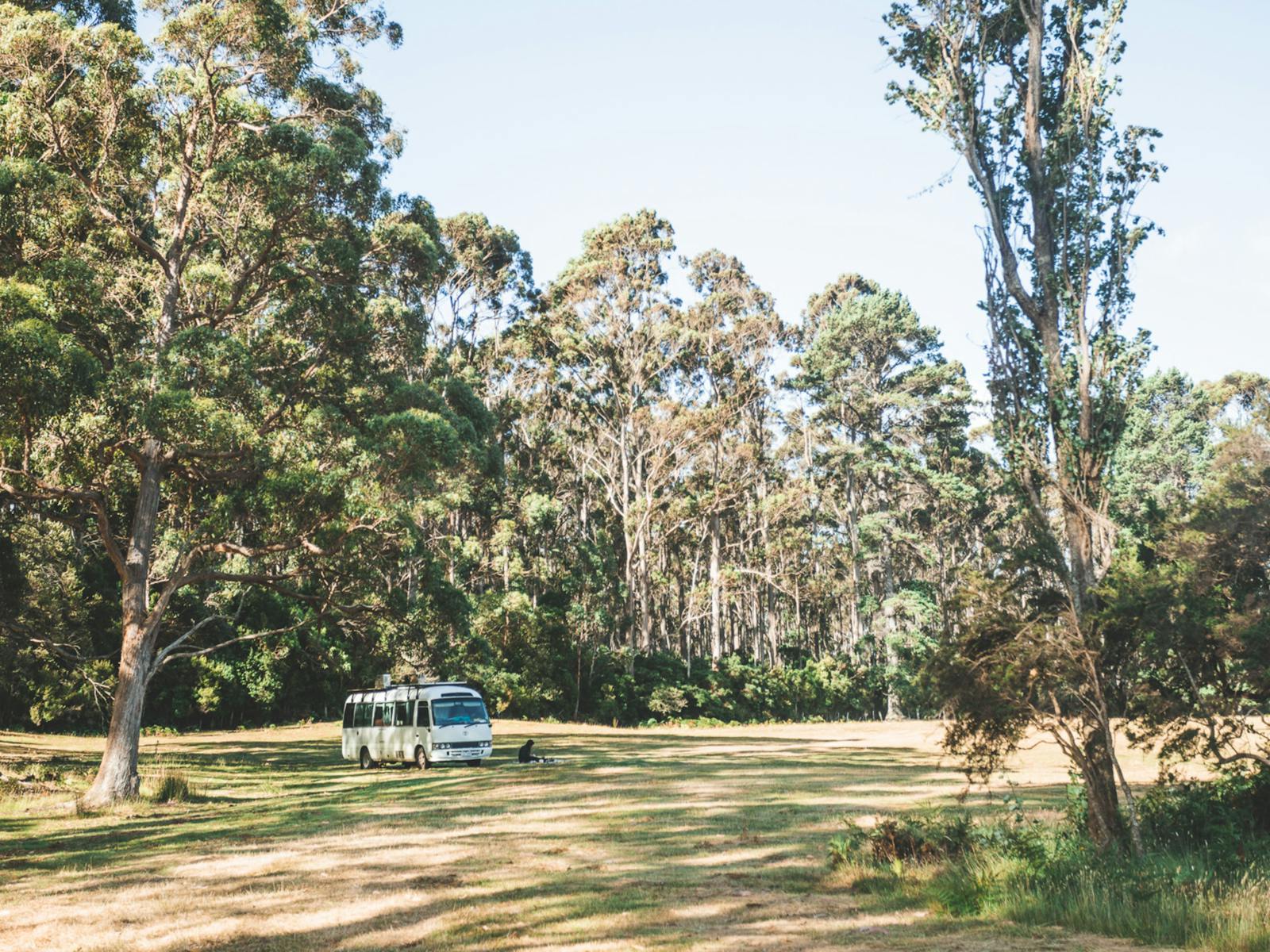 Sheepwash Rd Camp, South Bruny