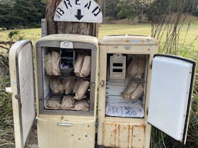 Bread fridge on the corner of BI Main Road and Sheepwash Road. Fresh bread can be purchased from there.
