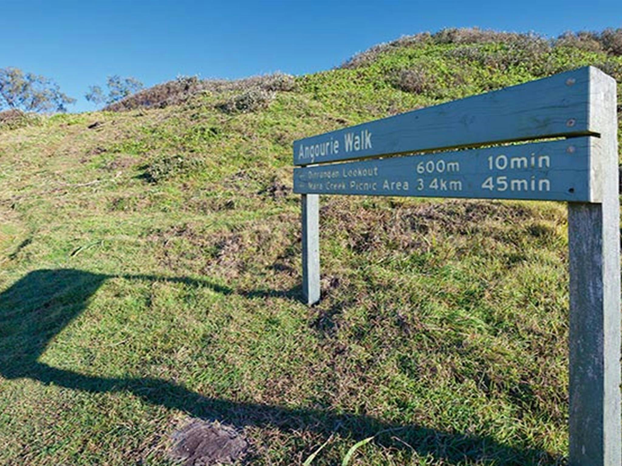 Shelley Head campground, Yuraygir National Park. Photo: Rob Cleary/NSW Government