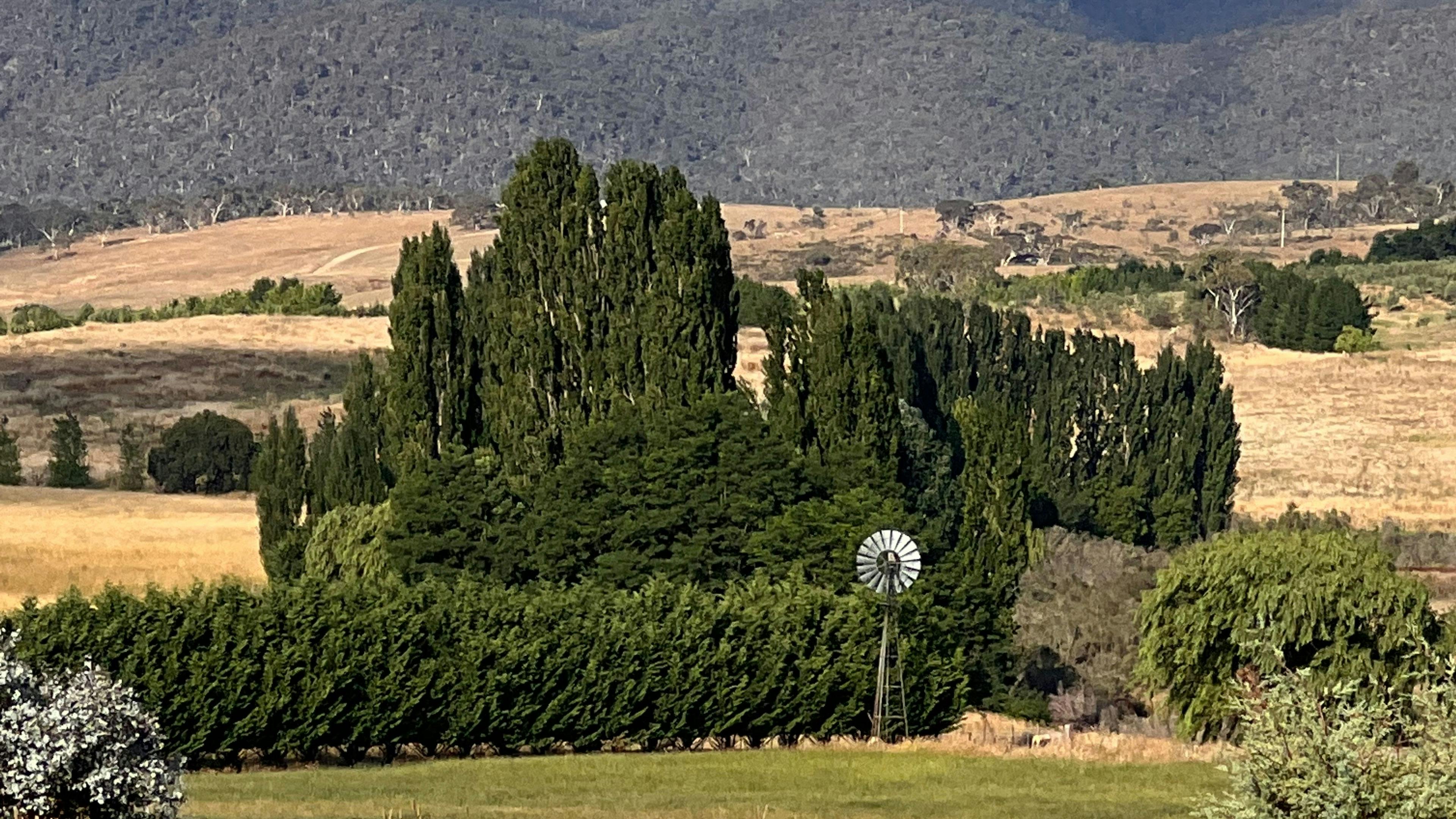 View of the Numeralla hills from Shellgrove Cottage