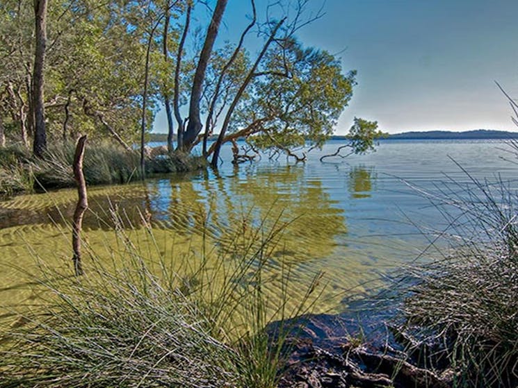 Shelly Beach campground, Myall Lakes National Park. Photo: John Spencer/DPIE