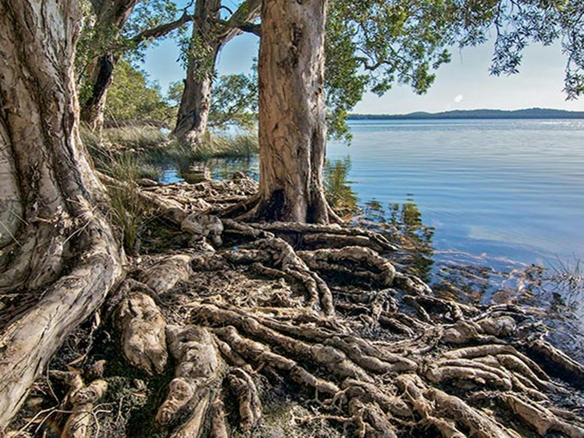 Shelly Beach campground, Myall Lakes National Park. Photo: John Spencer