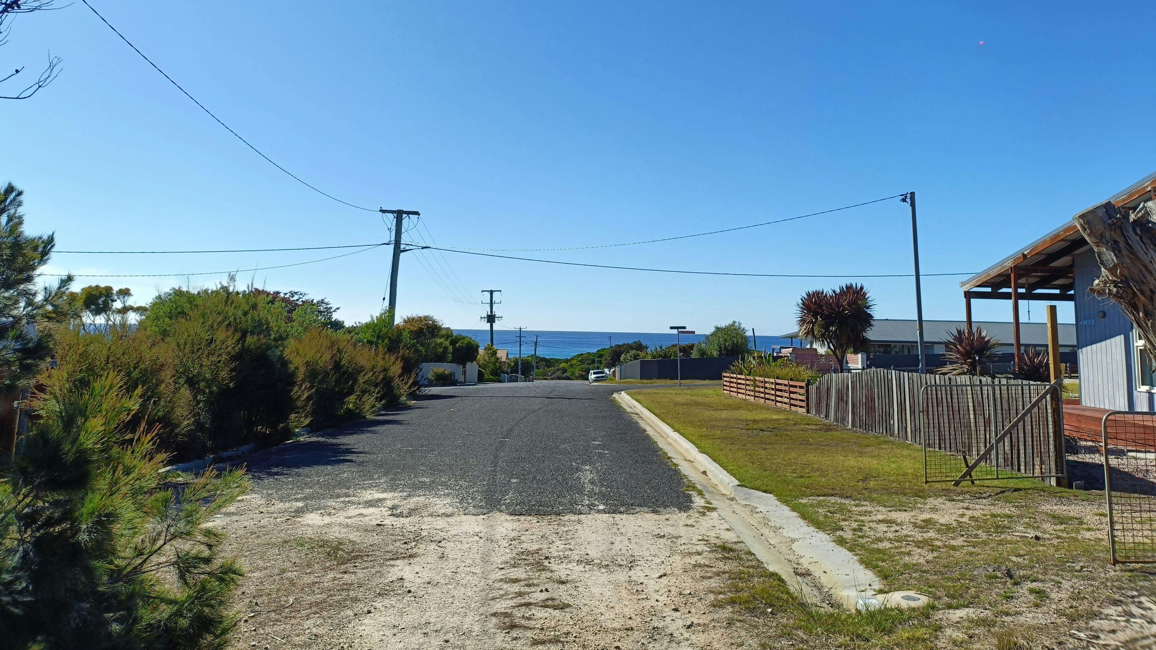 Sheoak Woodland By The Sea