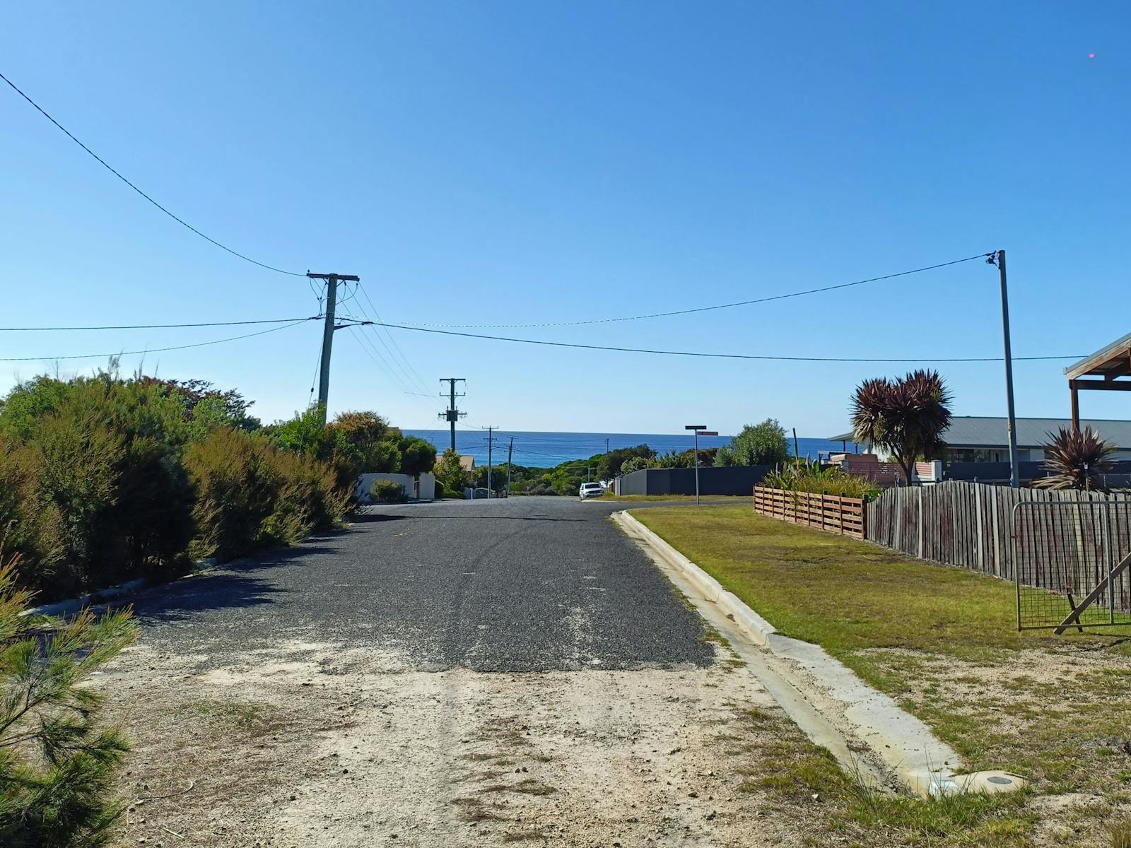 Sheoak Woodland By The Sea