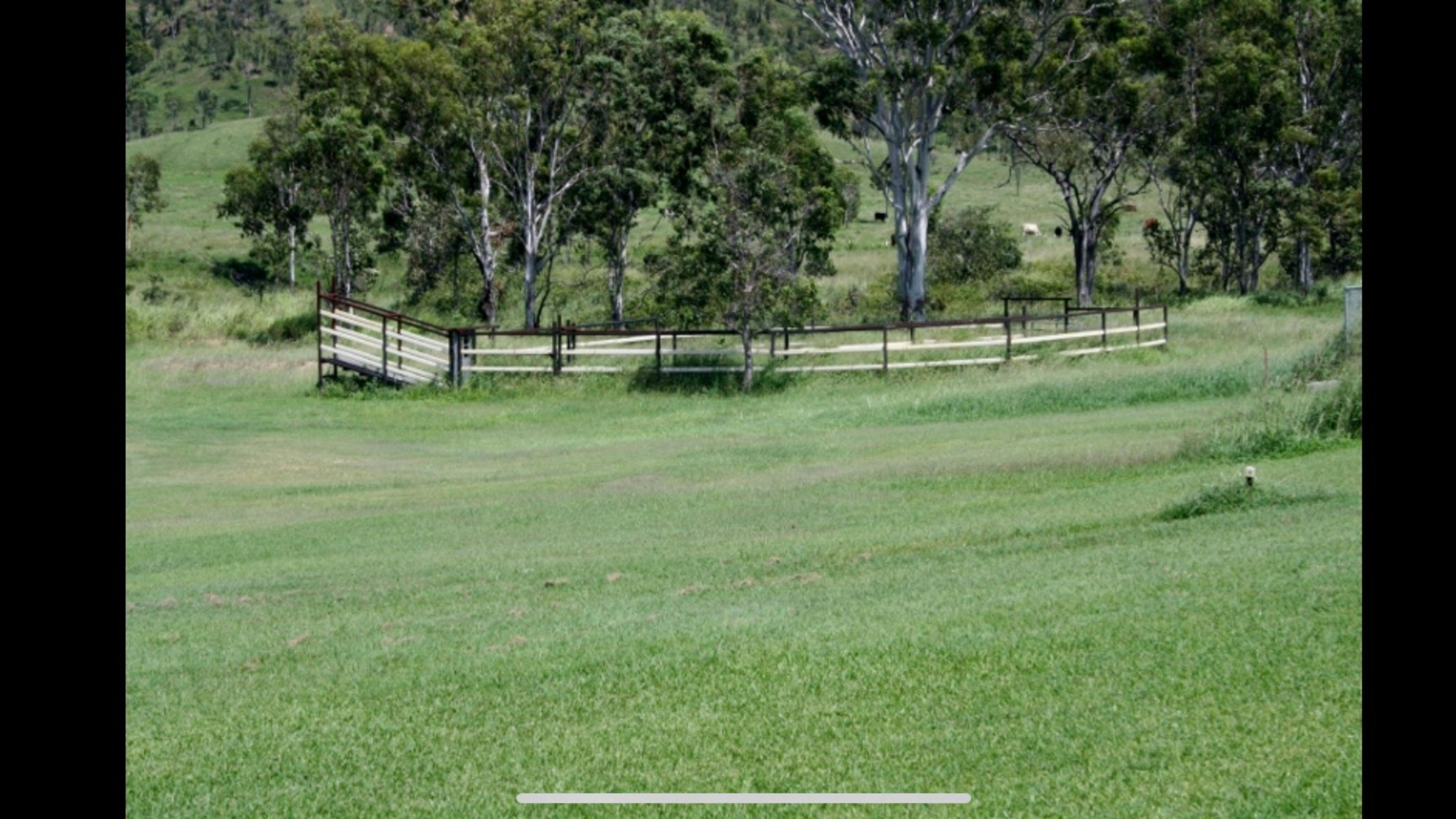 Shiralee Clydesdales and Farm Stay