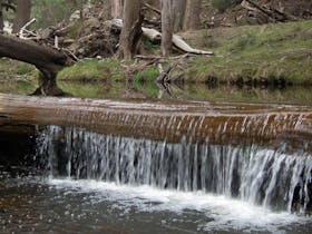 Silent Creek campground, Abercrombie River National Park. Photo: NSW Government