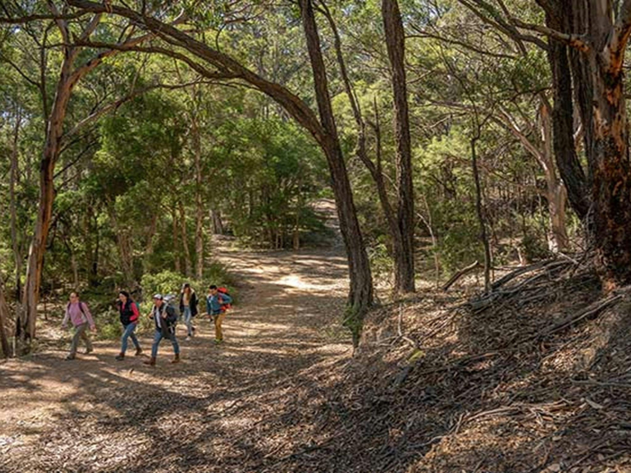 Eine Gruppe Freunde wandert auf dem Silver Peak Mine Track im Yerranderie Regional Park. Foto: John