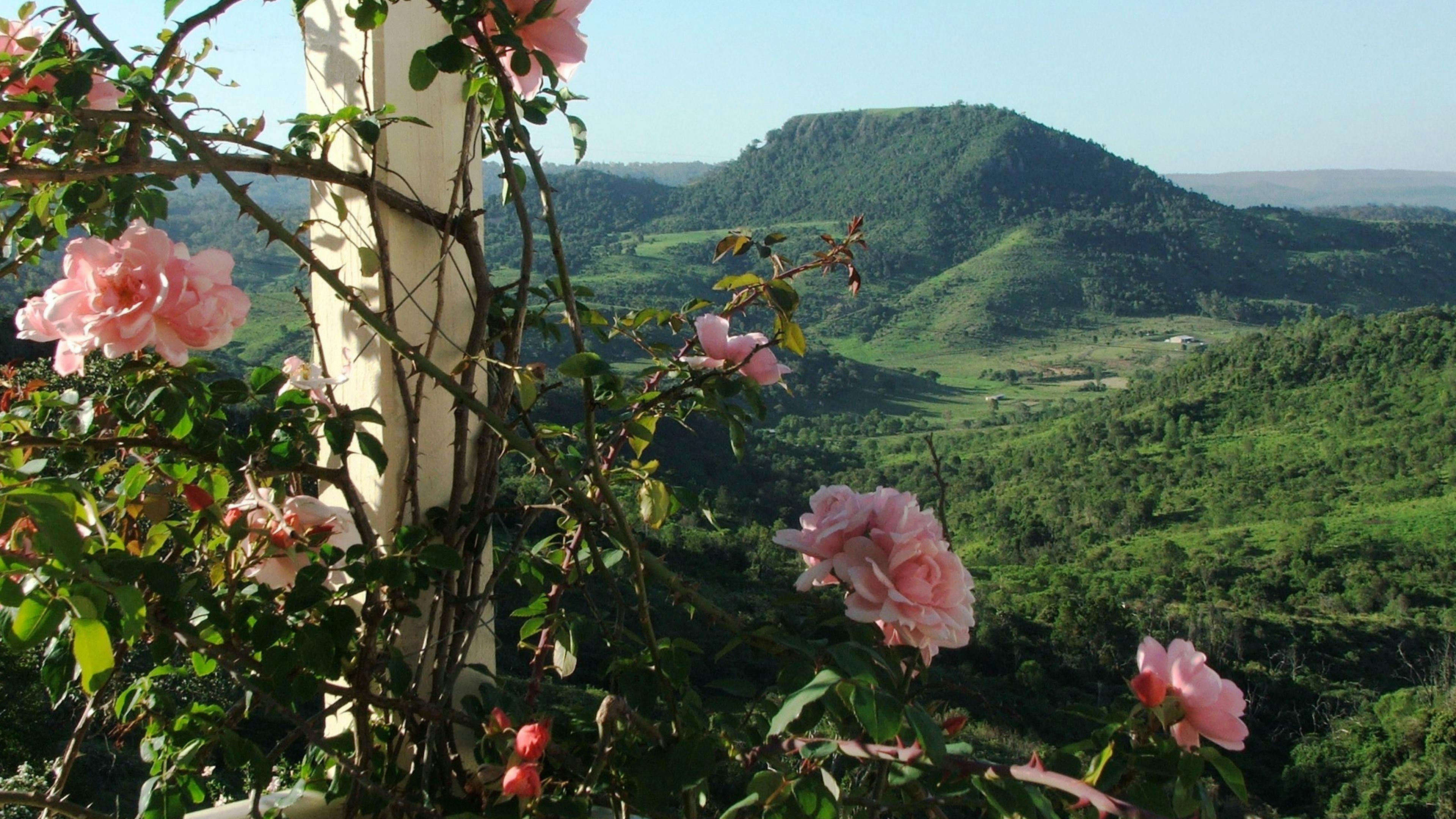 Silver Ridge ( Toowoomba) Hilltop Views