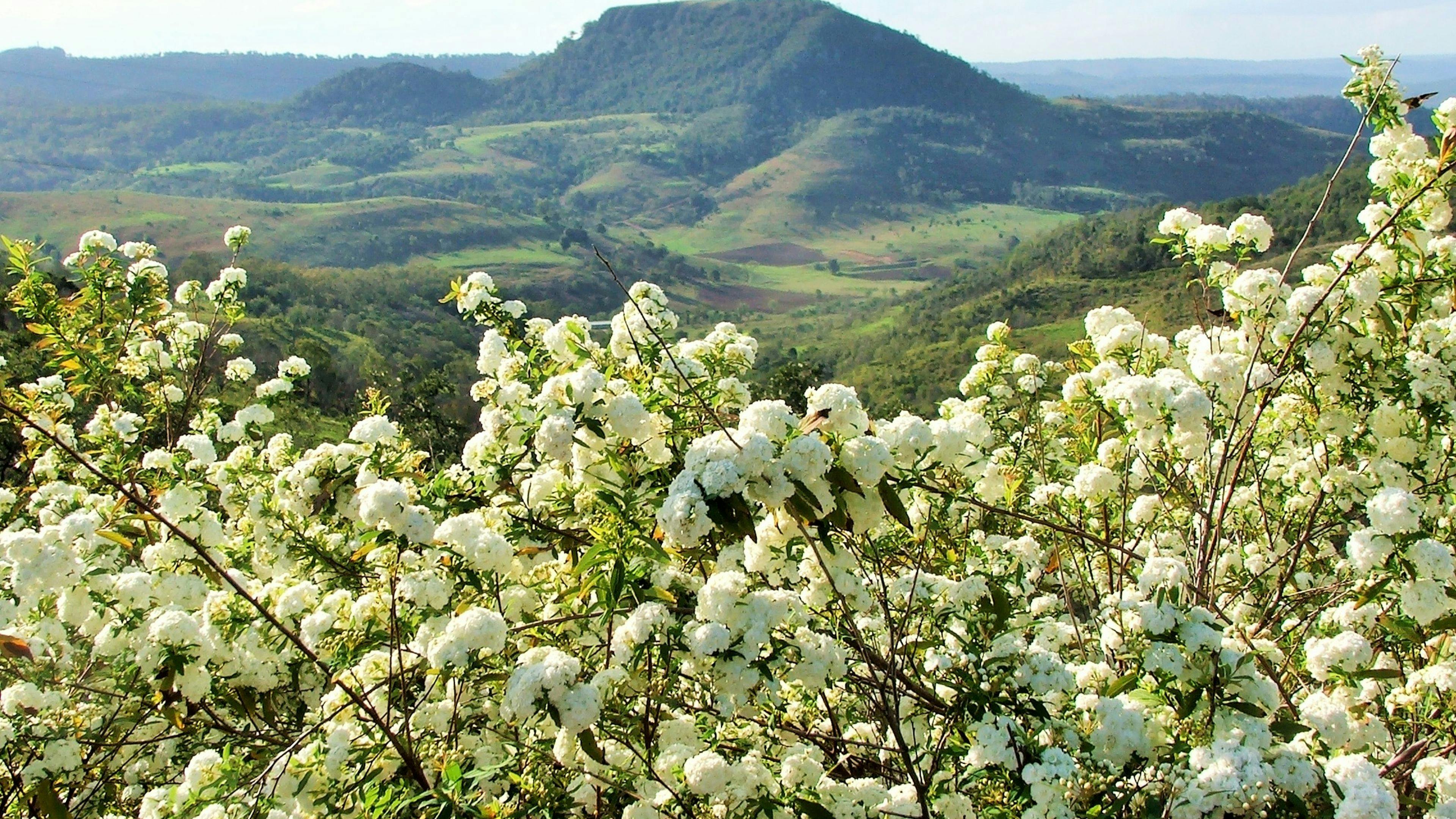 Silver Ridge ( Toowoomba) Hilltop Views