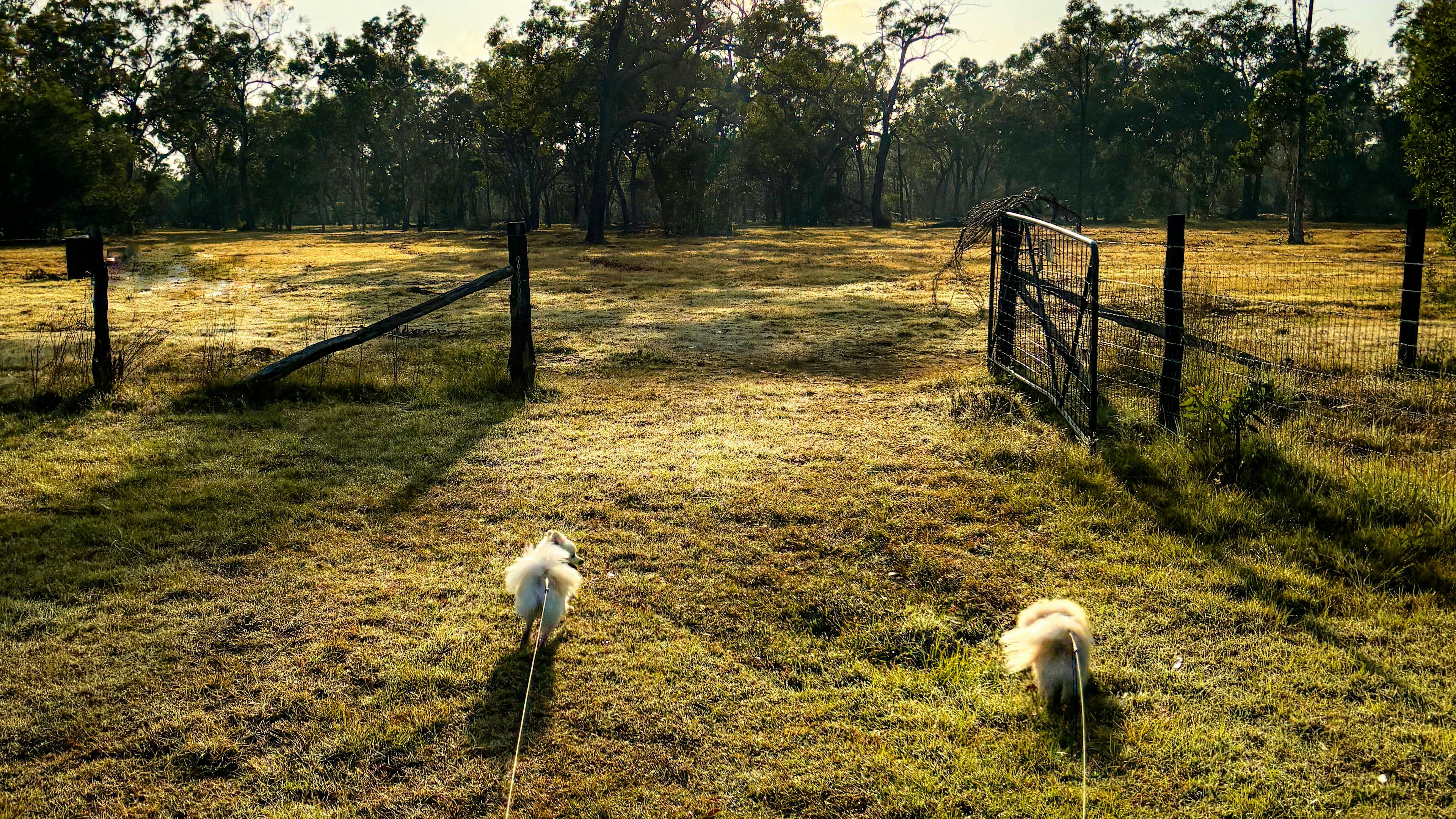 Lenlie Farm
