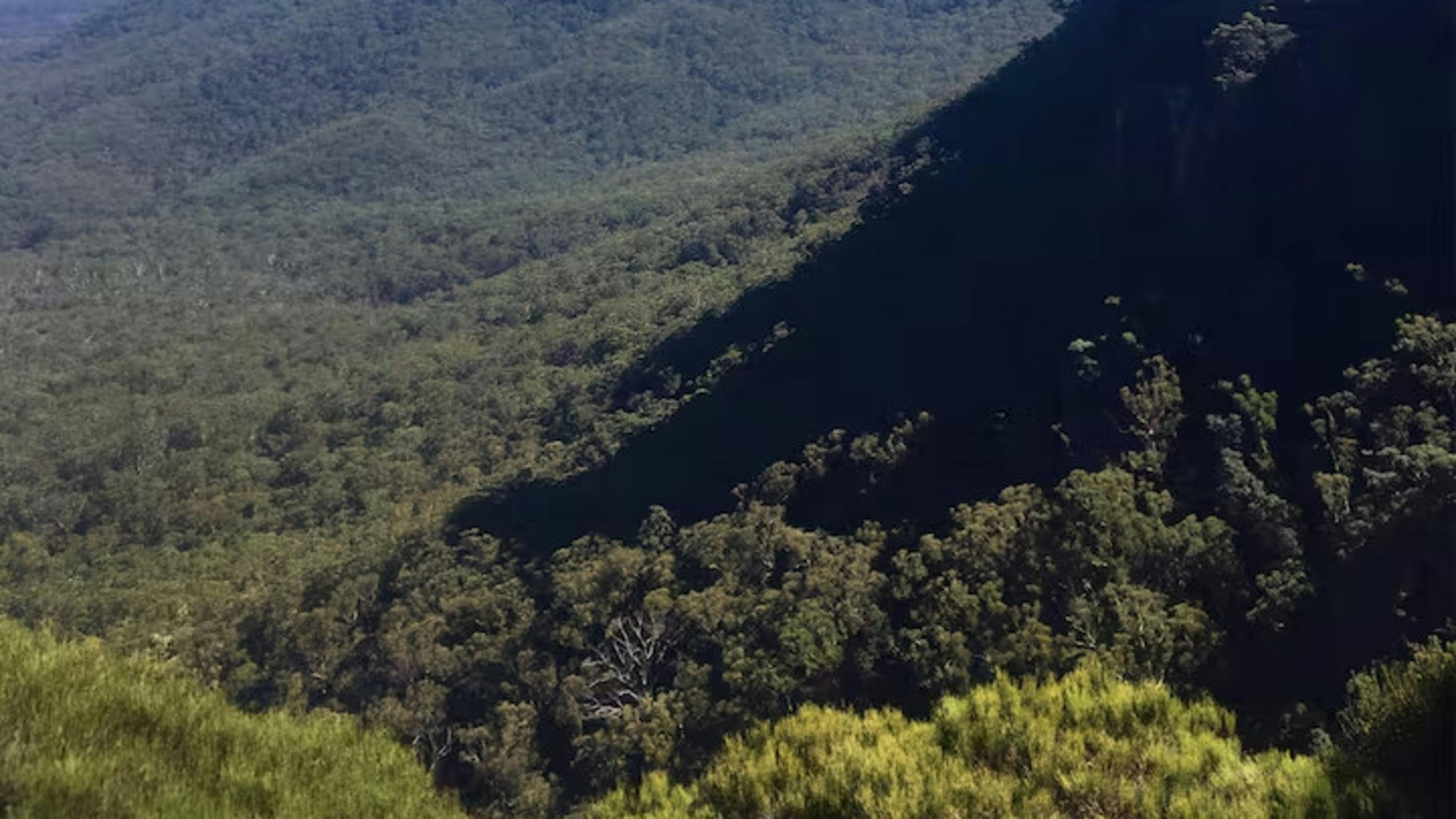 スクリブリーガムブッシュランドリトリート