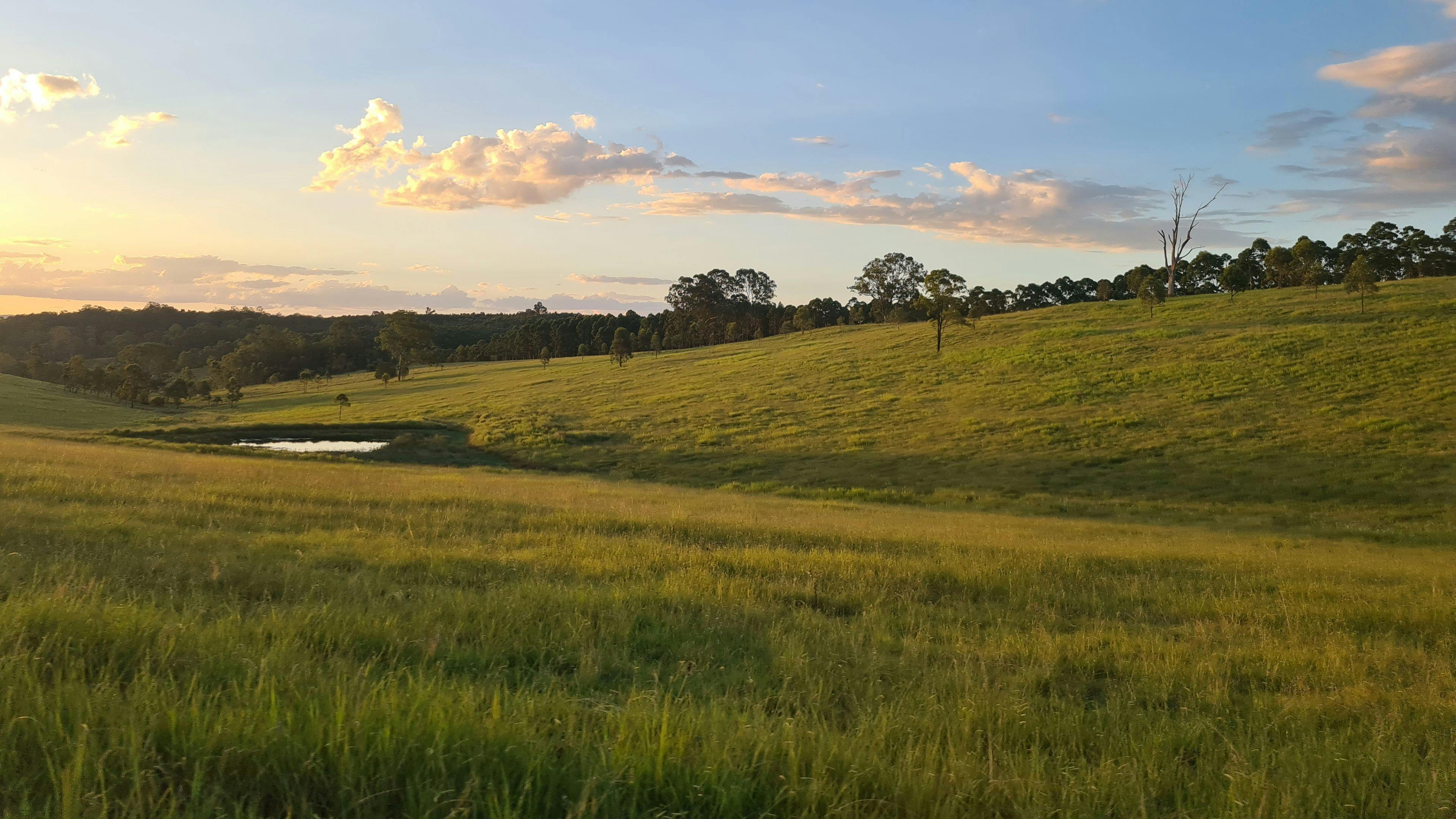 Skyfall Hills NSW Holidays & Things to Do, Attractions