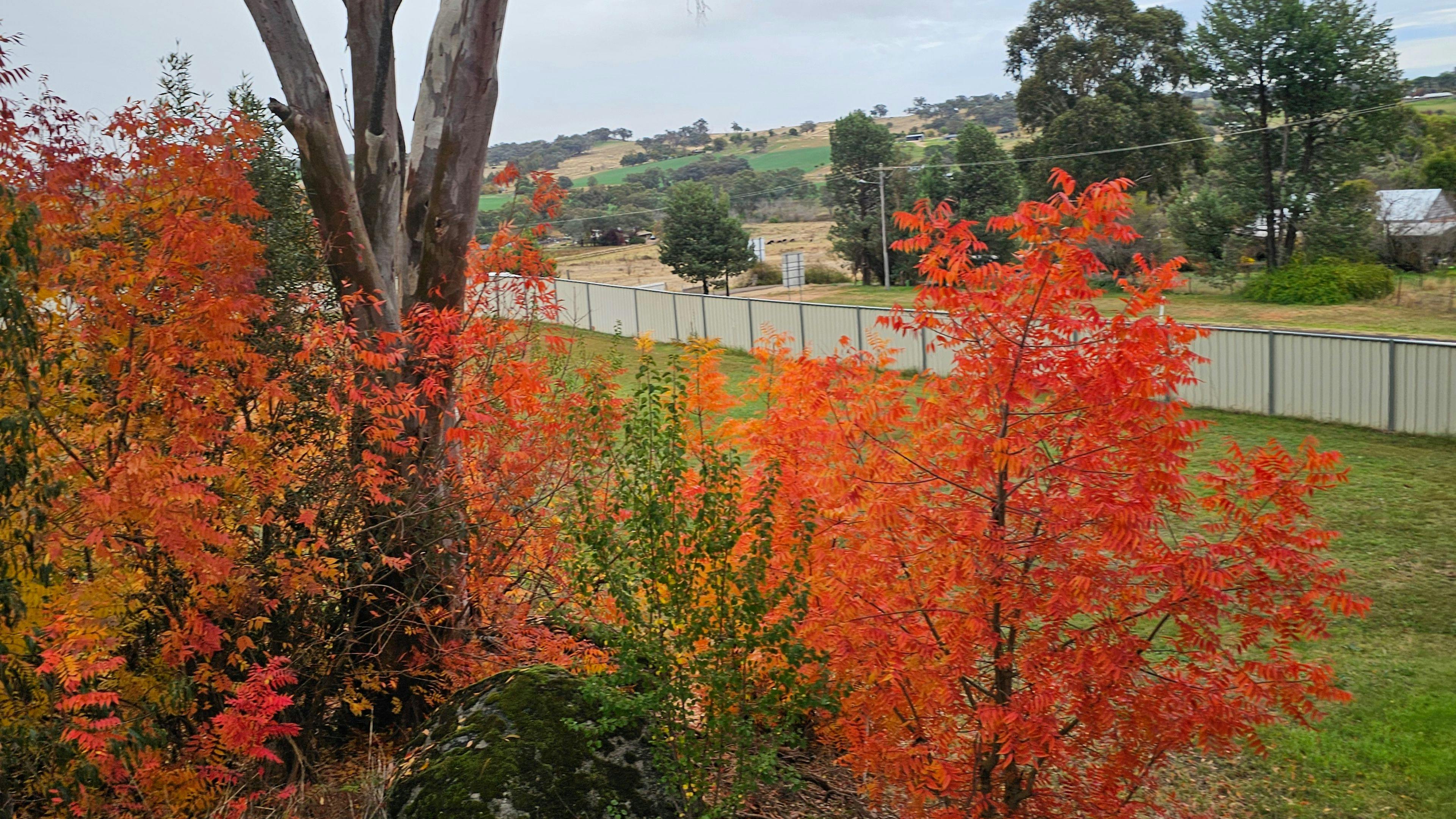Henry Place