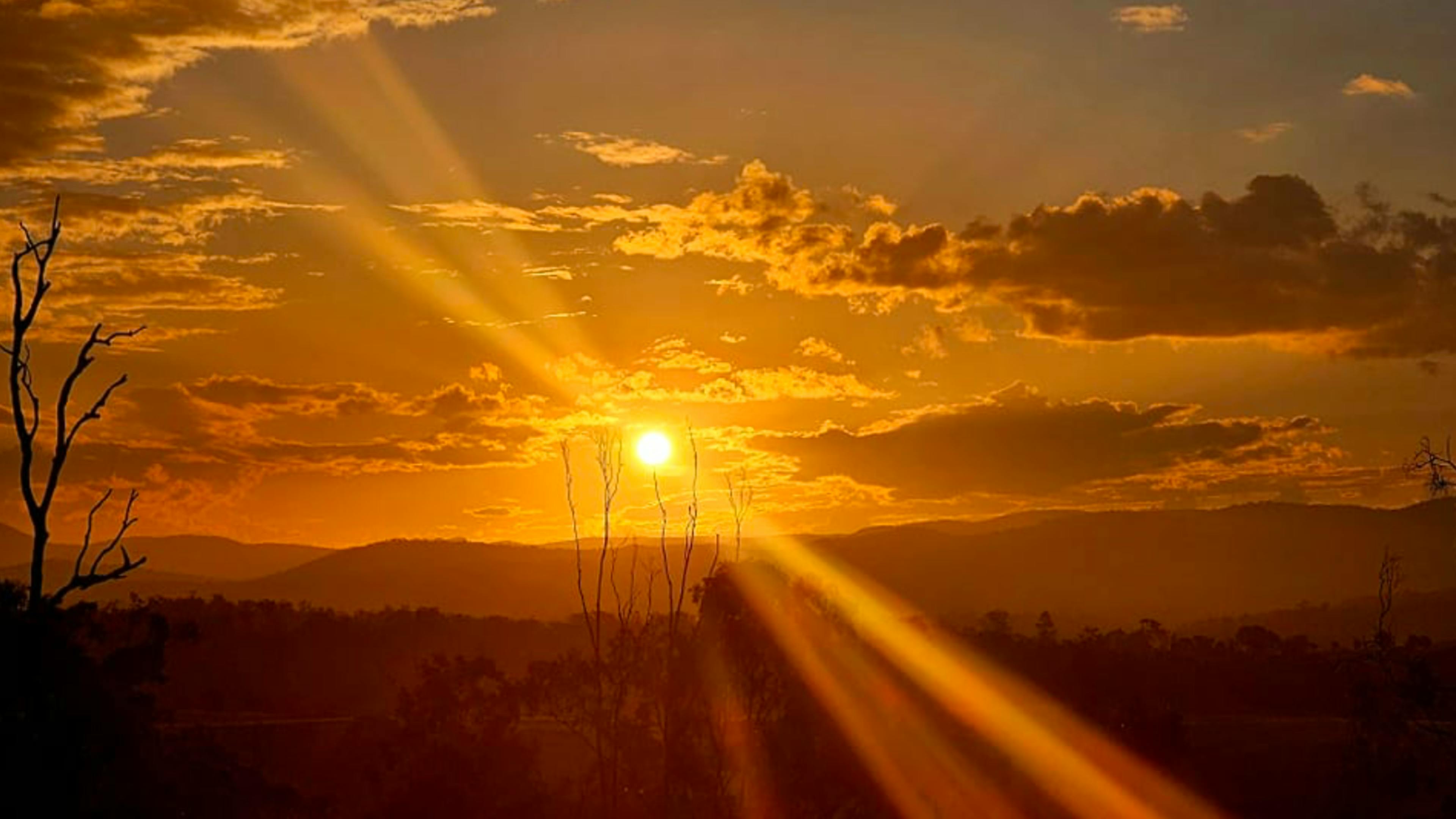 Slice of Heaven - Pet Friendly