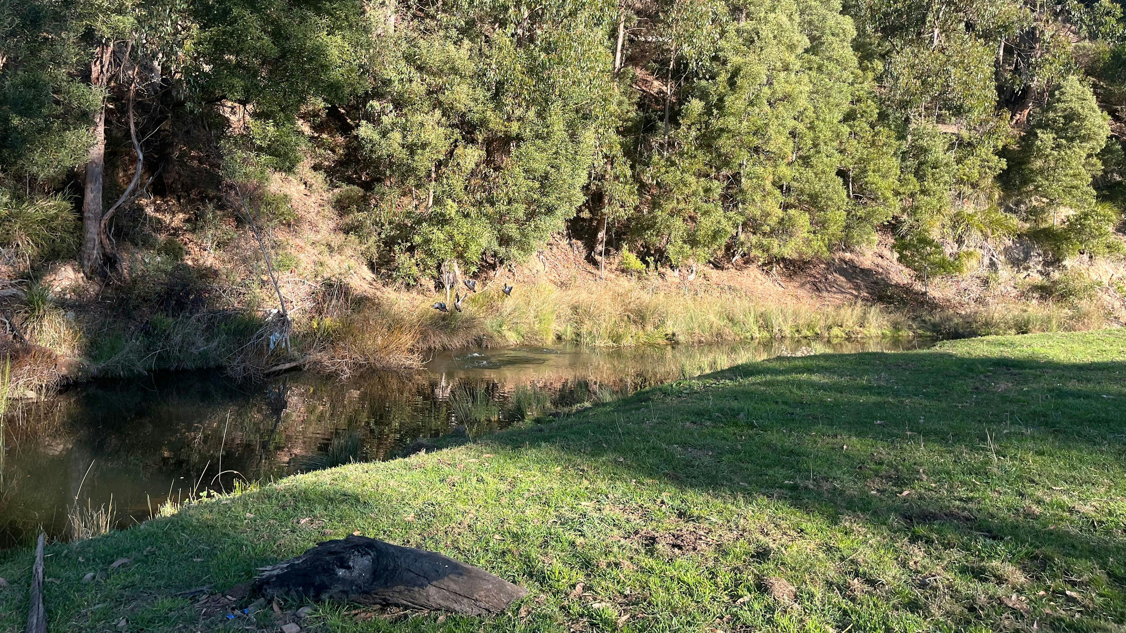 Smithers Farm