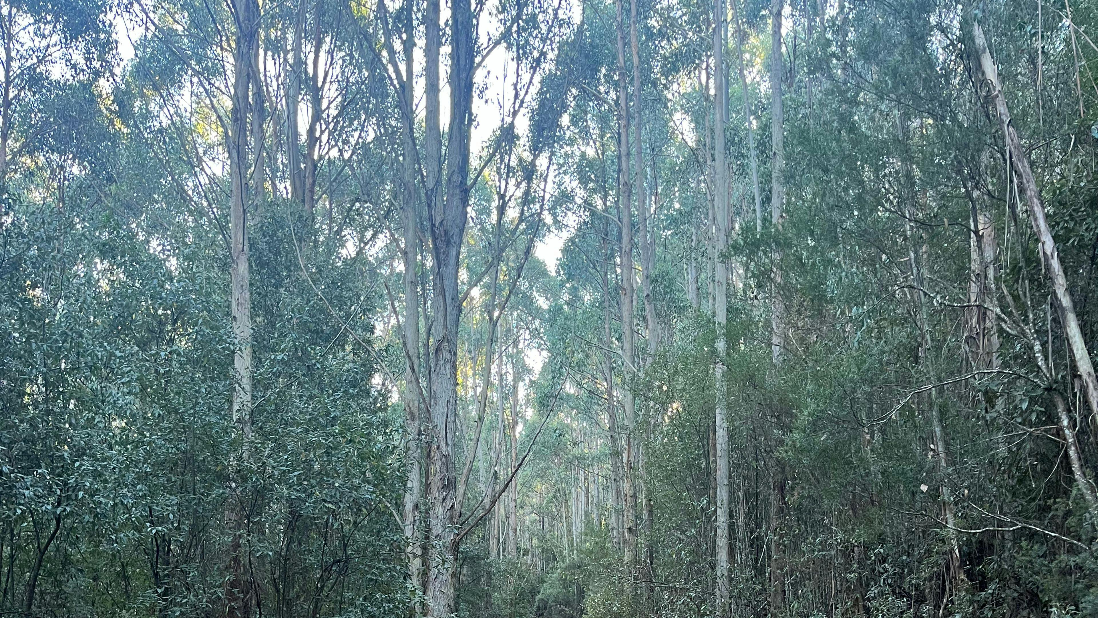 Smithers Farm