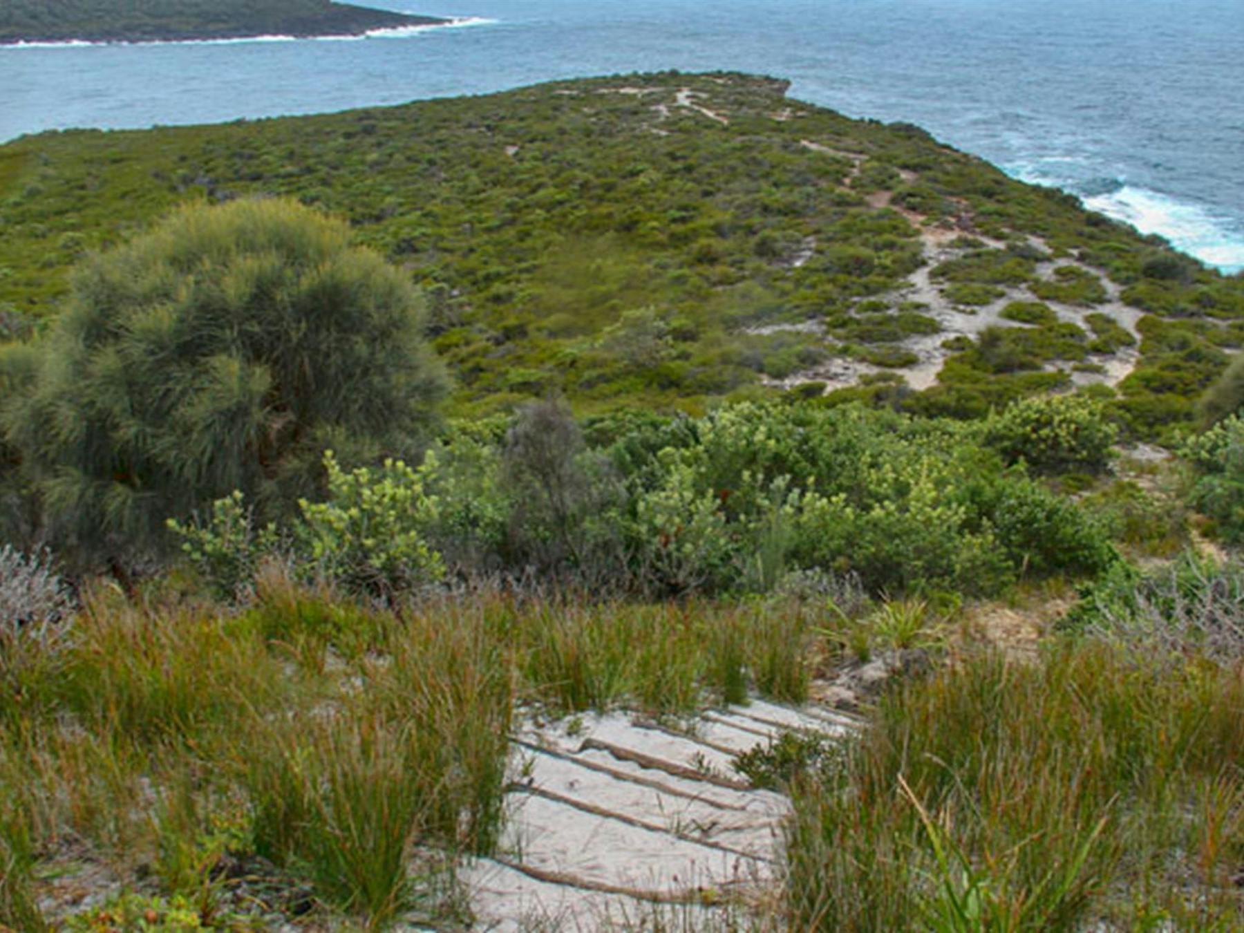 Snapper Point lookout, Murramarang National Park. Photo: John Yurasek © OEH