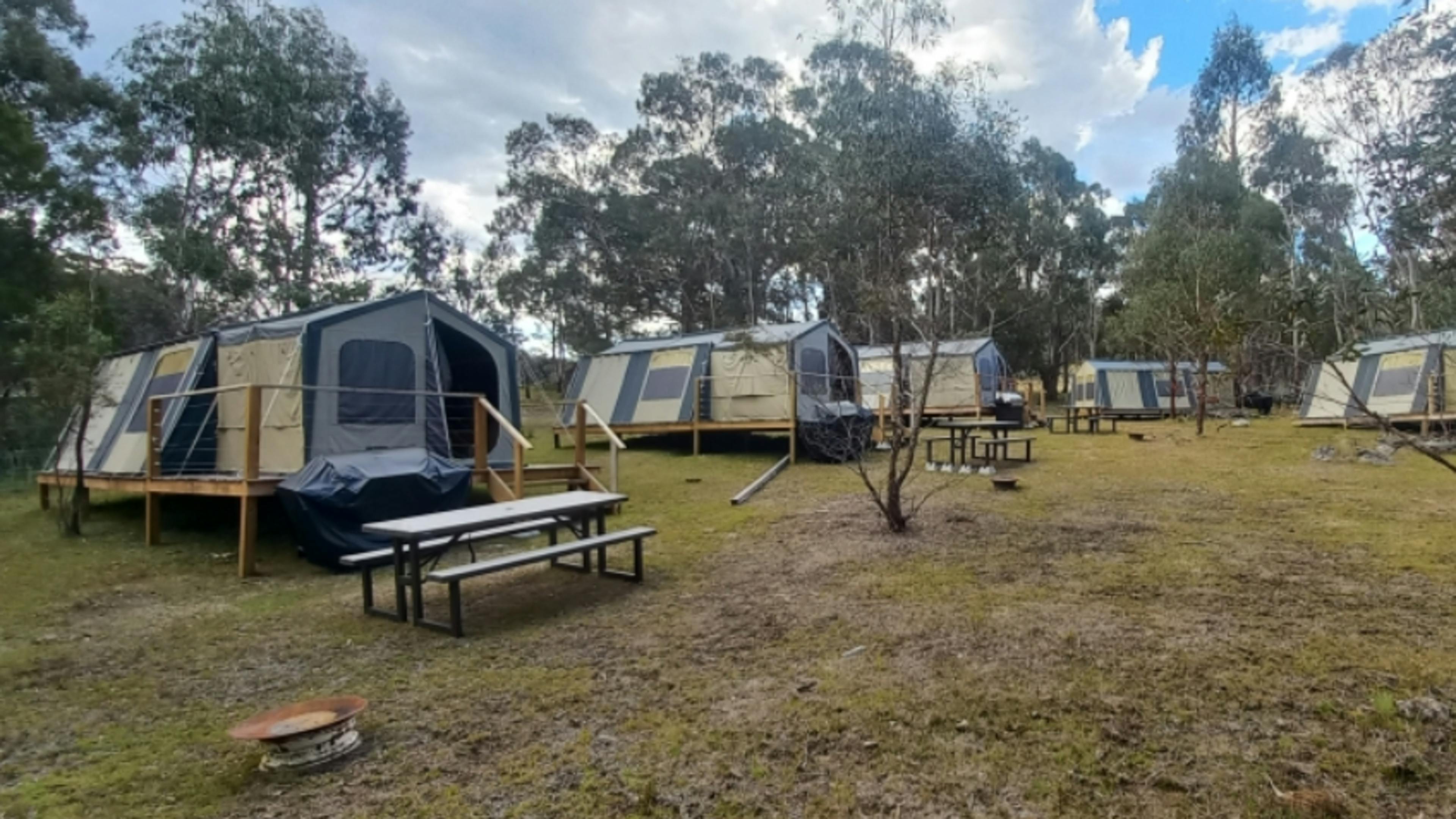 Snowgum Camp Farmstay Safari Tent's