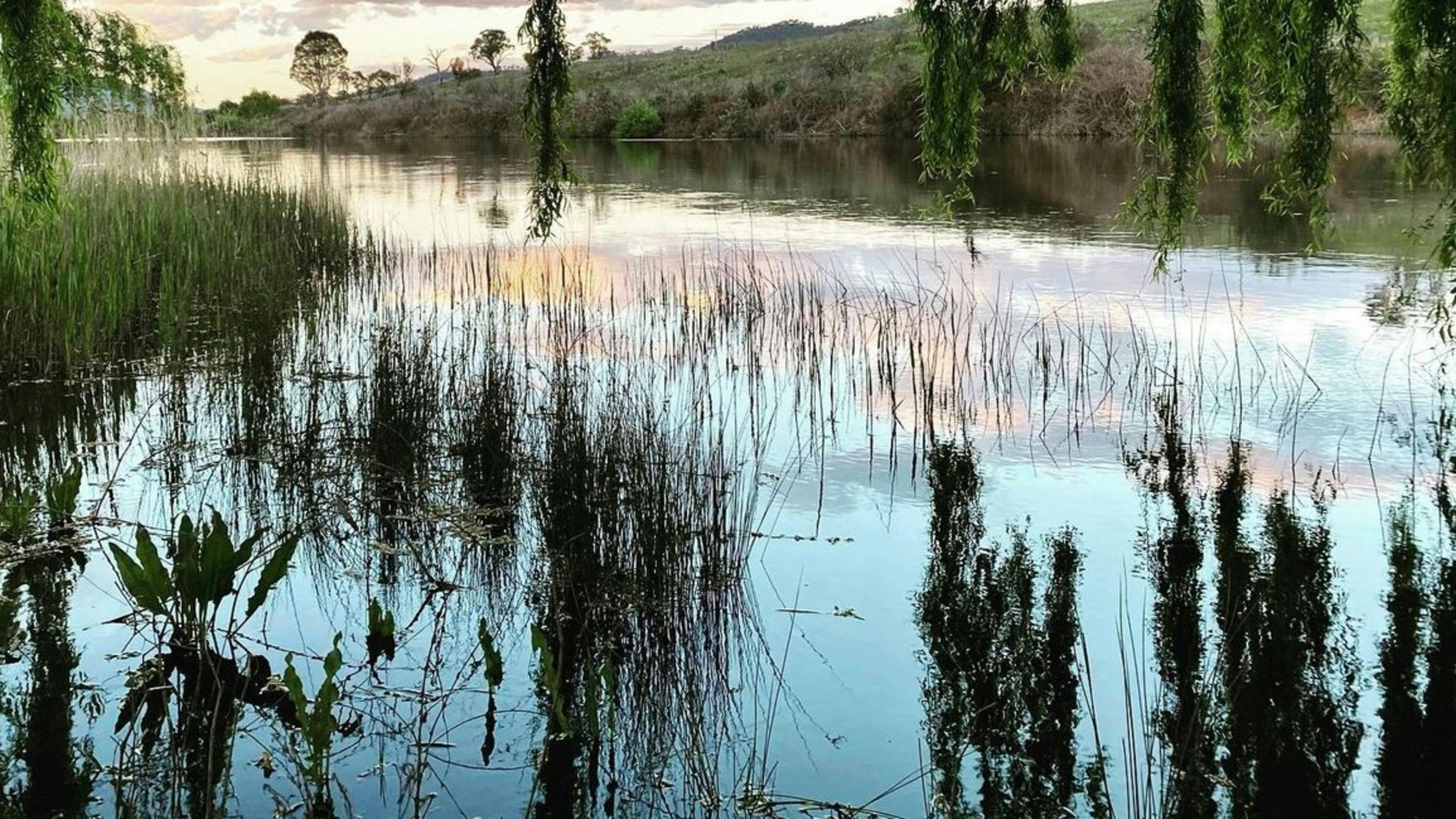Snowy River Farm 