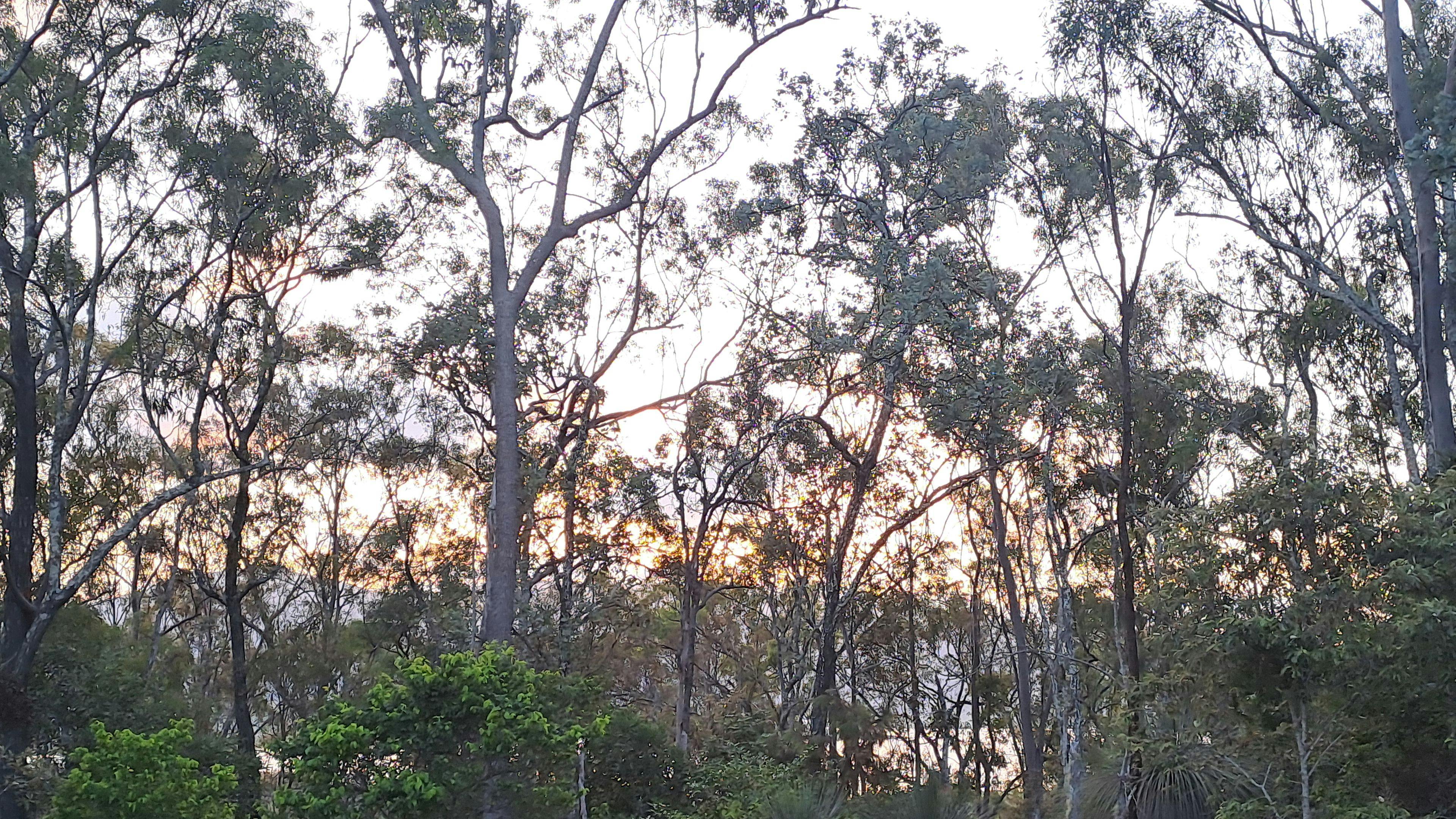 Somerset Dam Private Bush Camp
