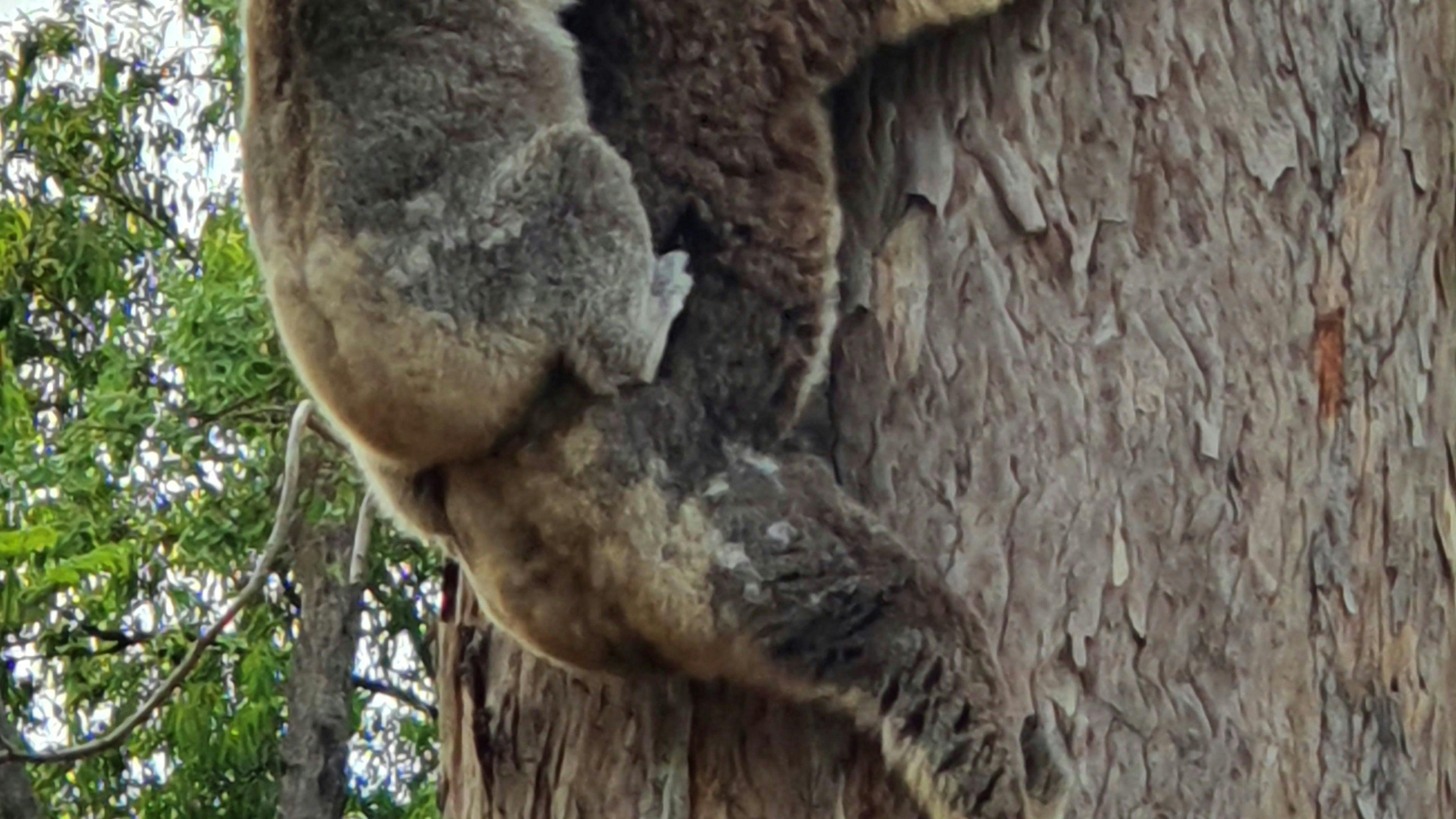 Somerset Valley Farm