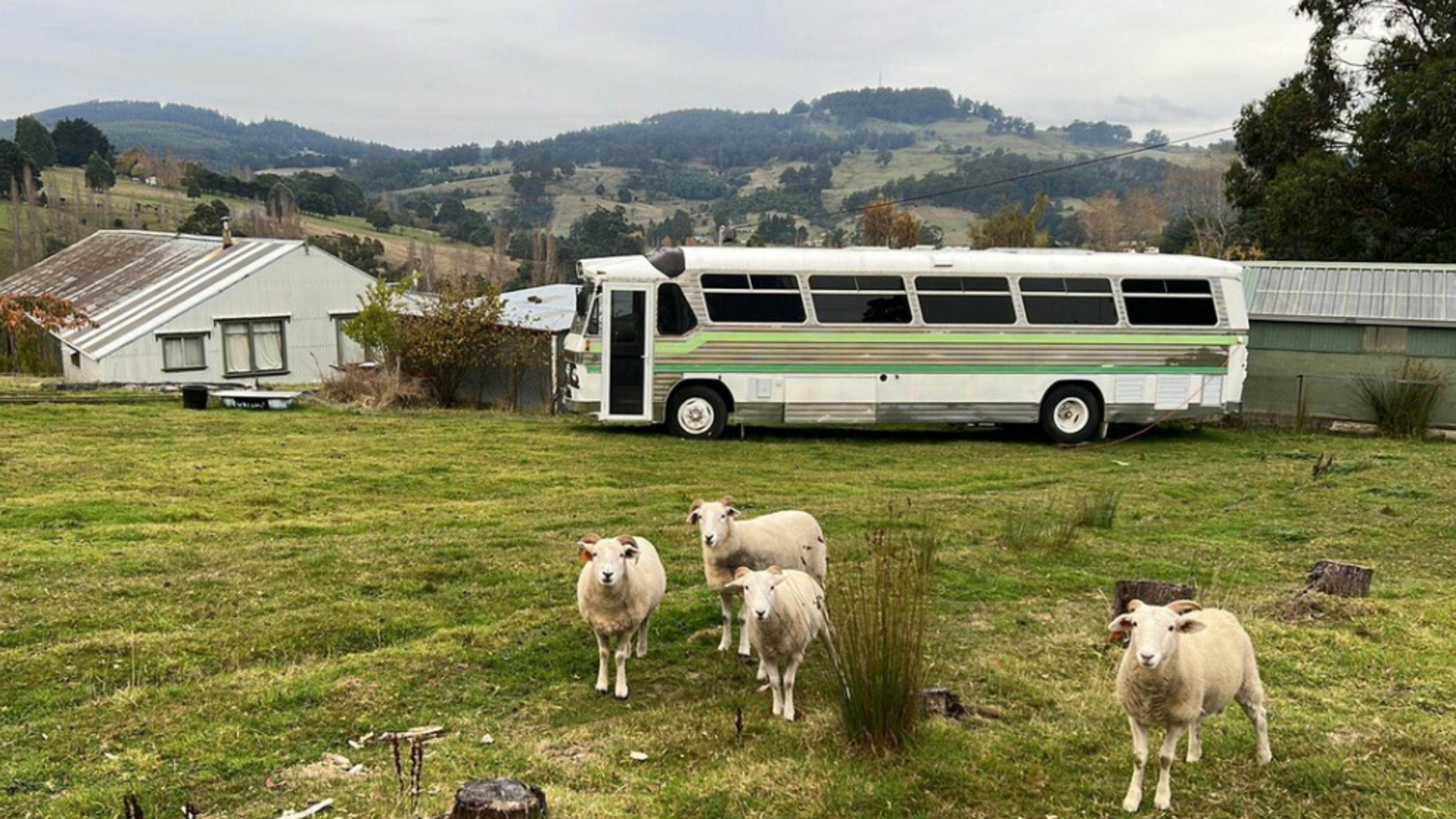 Something Something Farm