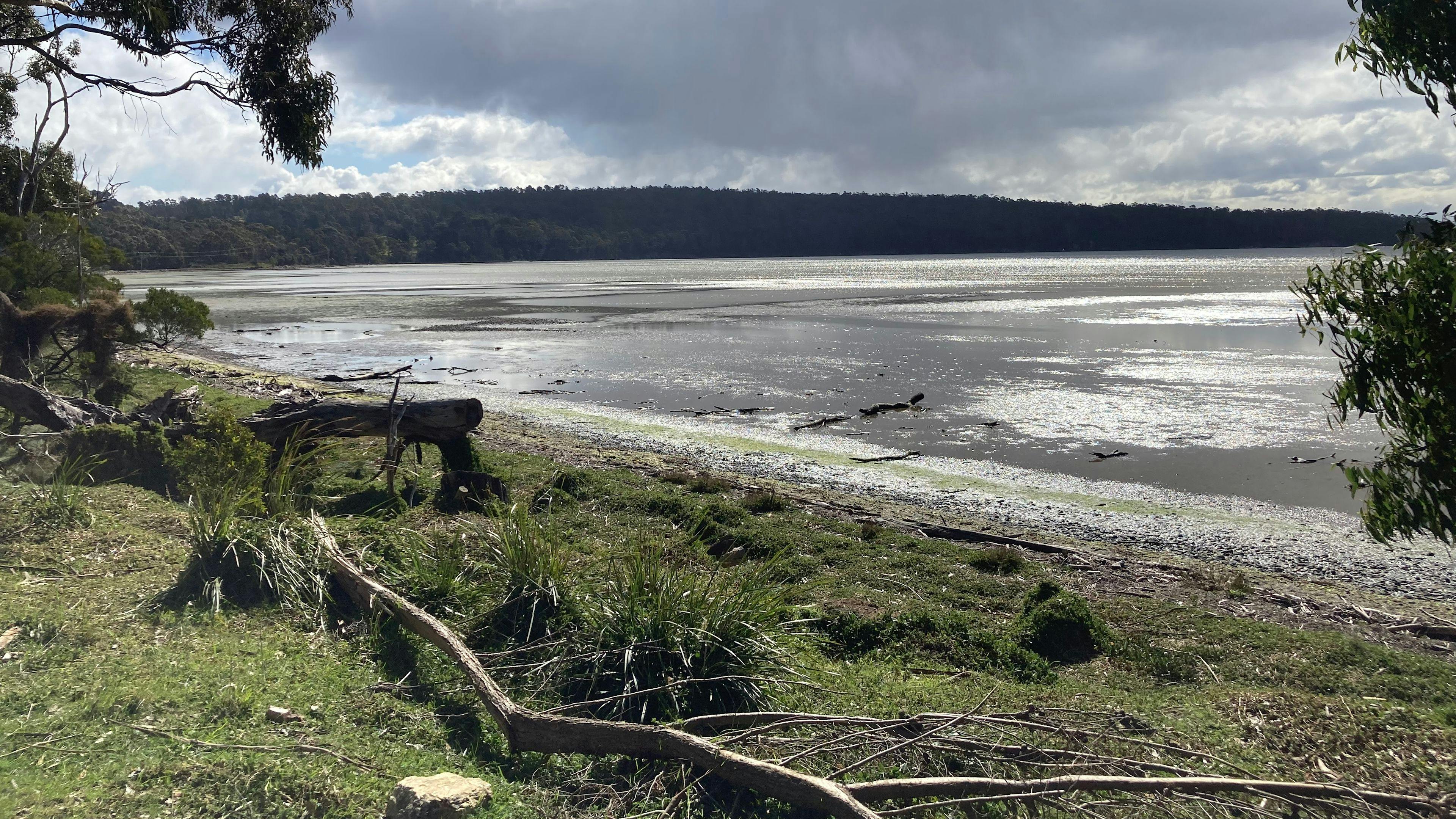 South Bruny Paradise