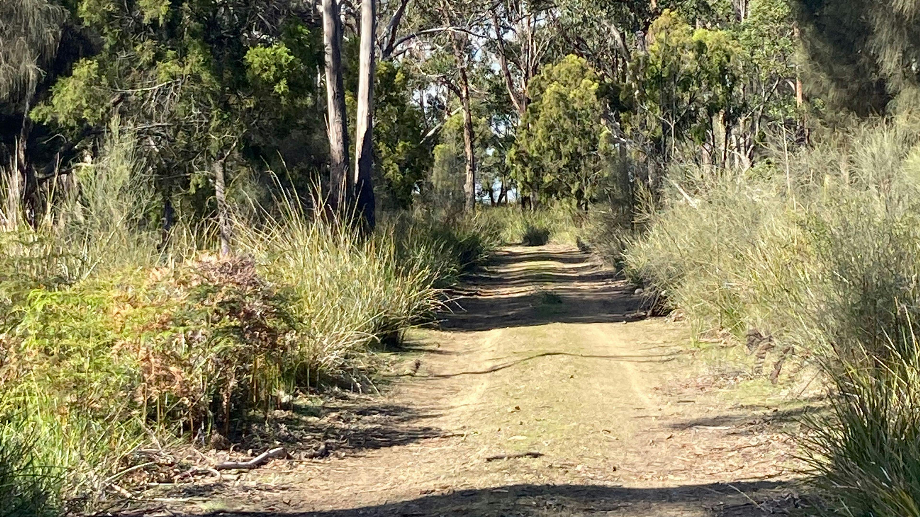 South Bruny Paradise