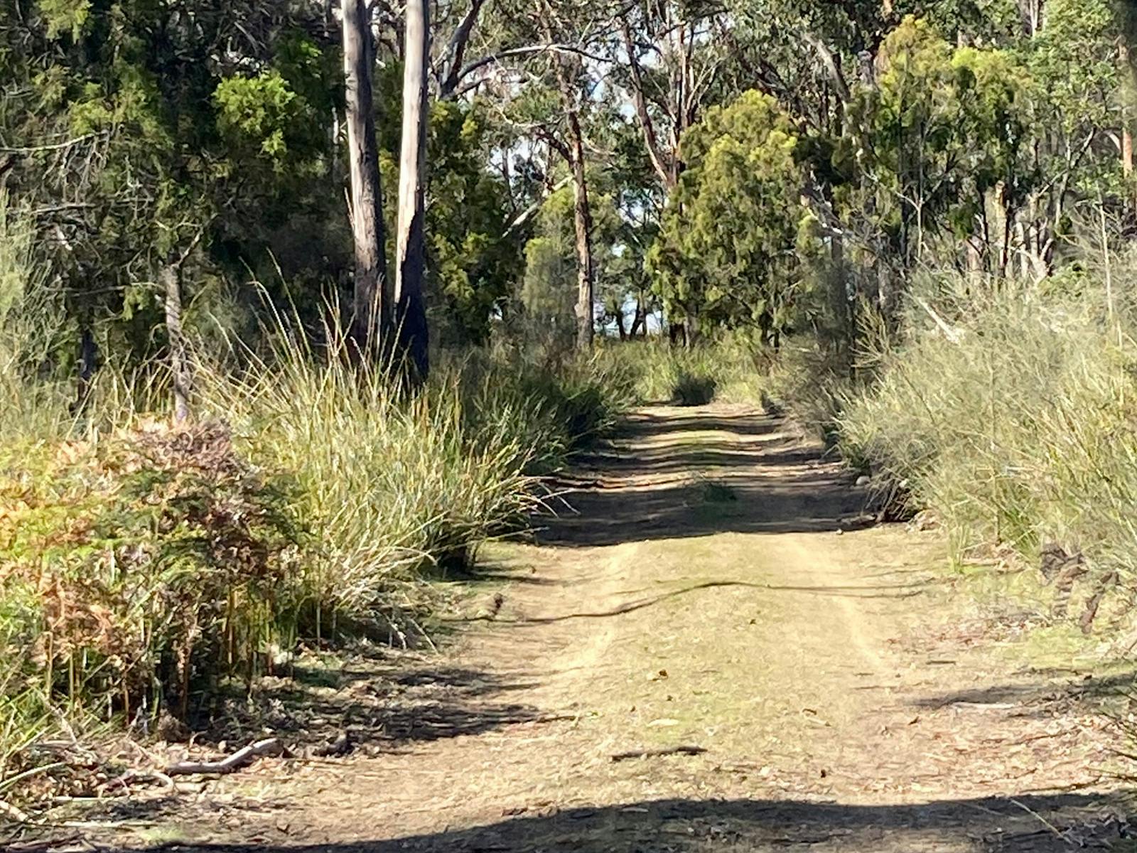 South Bruny Paradise