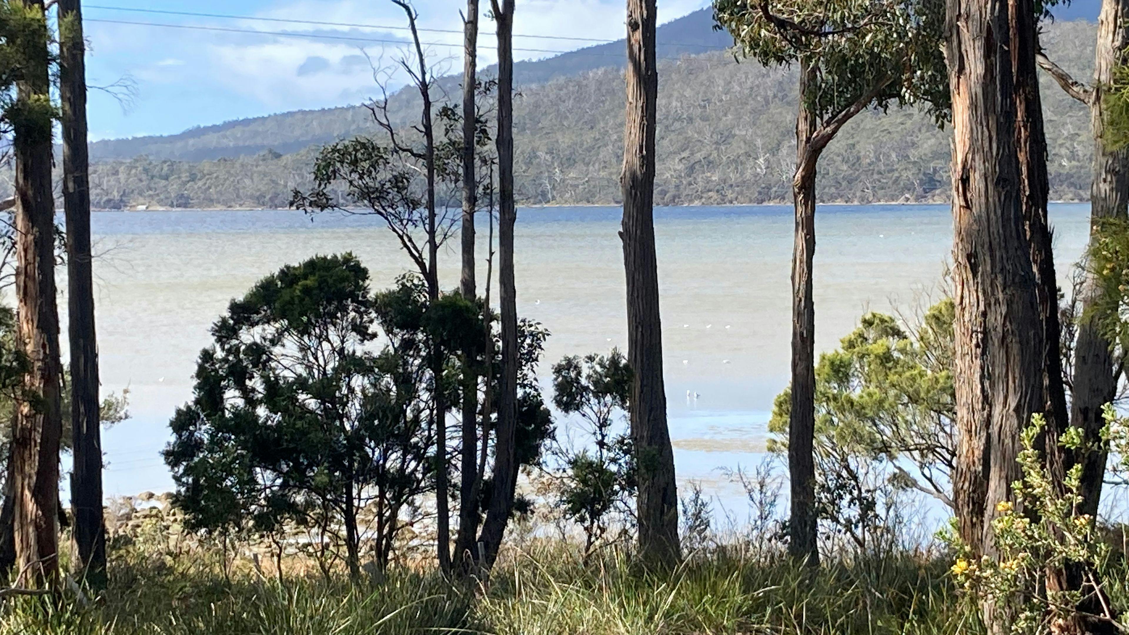 South Bruny Paradise