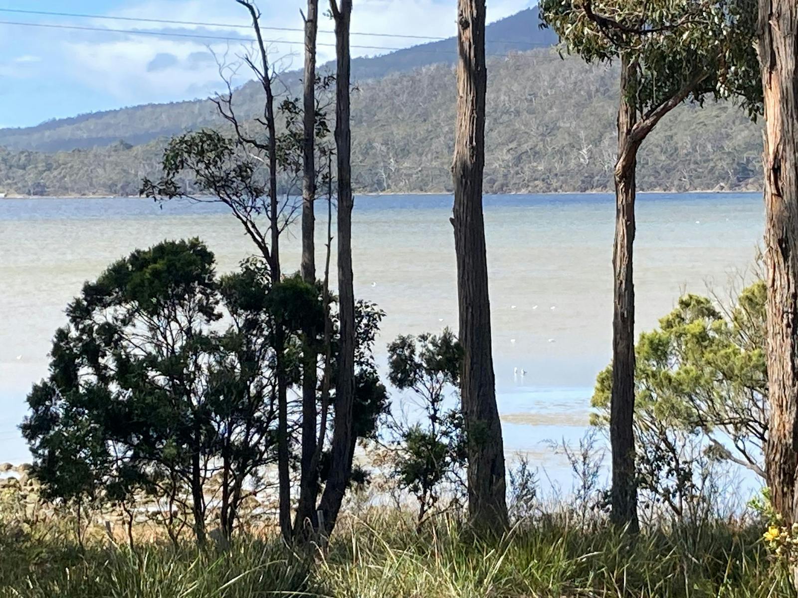 South Bruny Paradise