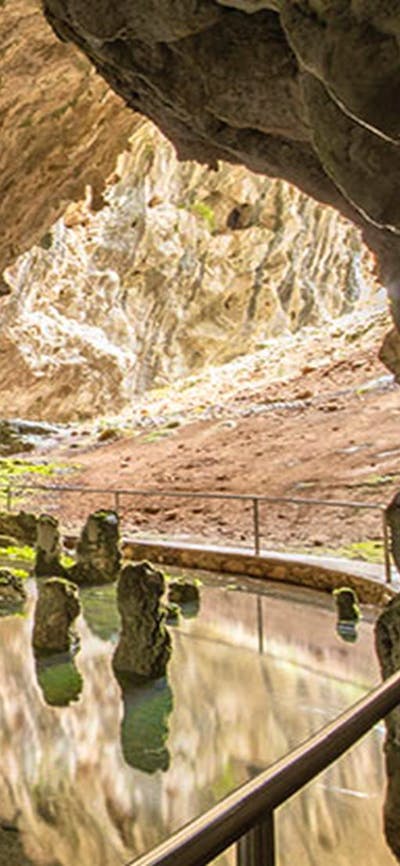 South Glory Cave entrance, Yarrangobilly Caves, Kosciuszko National Park. Photo: Murray