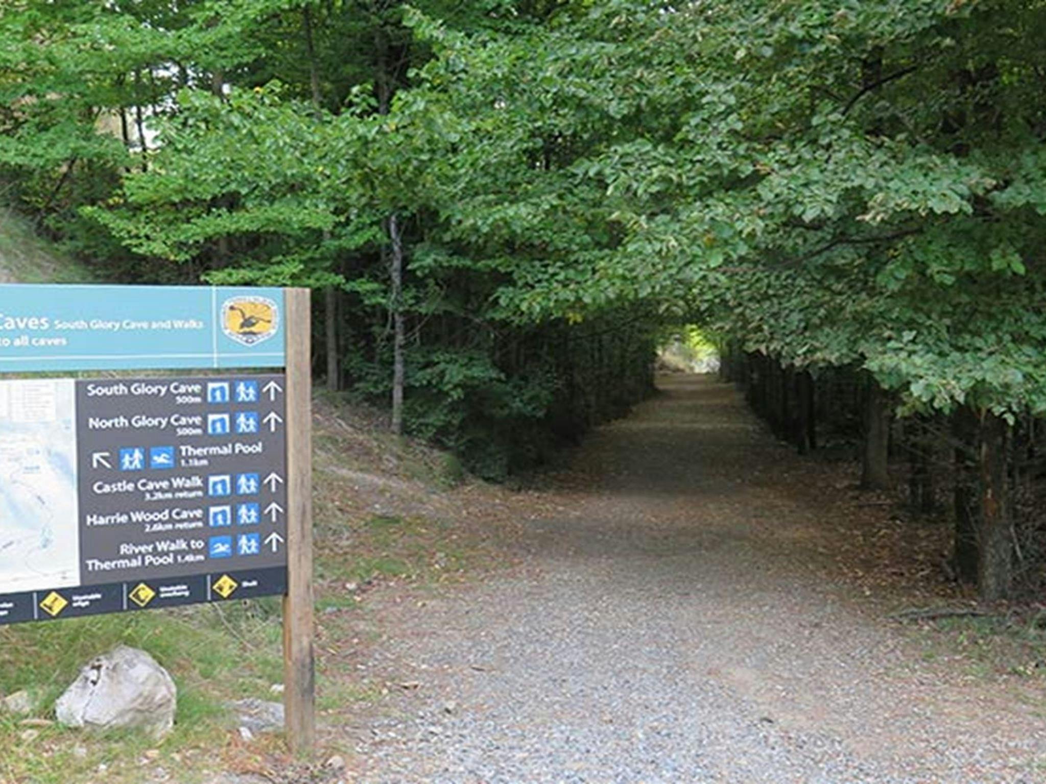 コジオスコ国立公園、ヤランゴビリー洞窟のサウス・グローリー洞窟への道。写真：E Sheargold/OEH