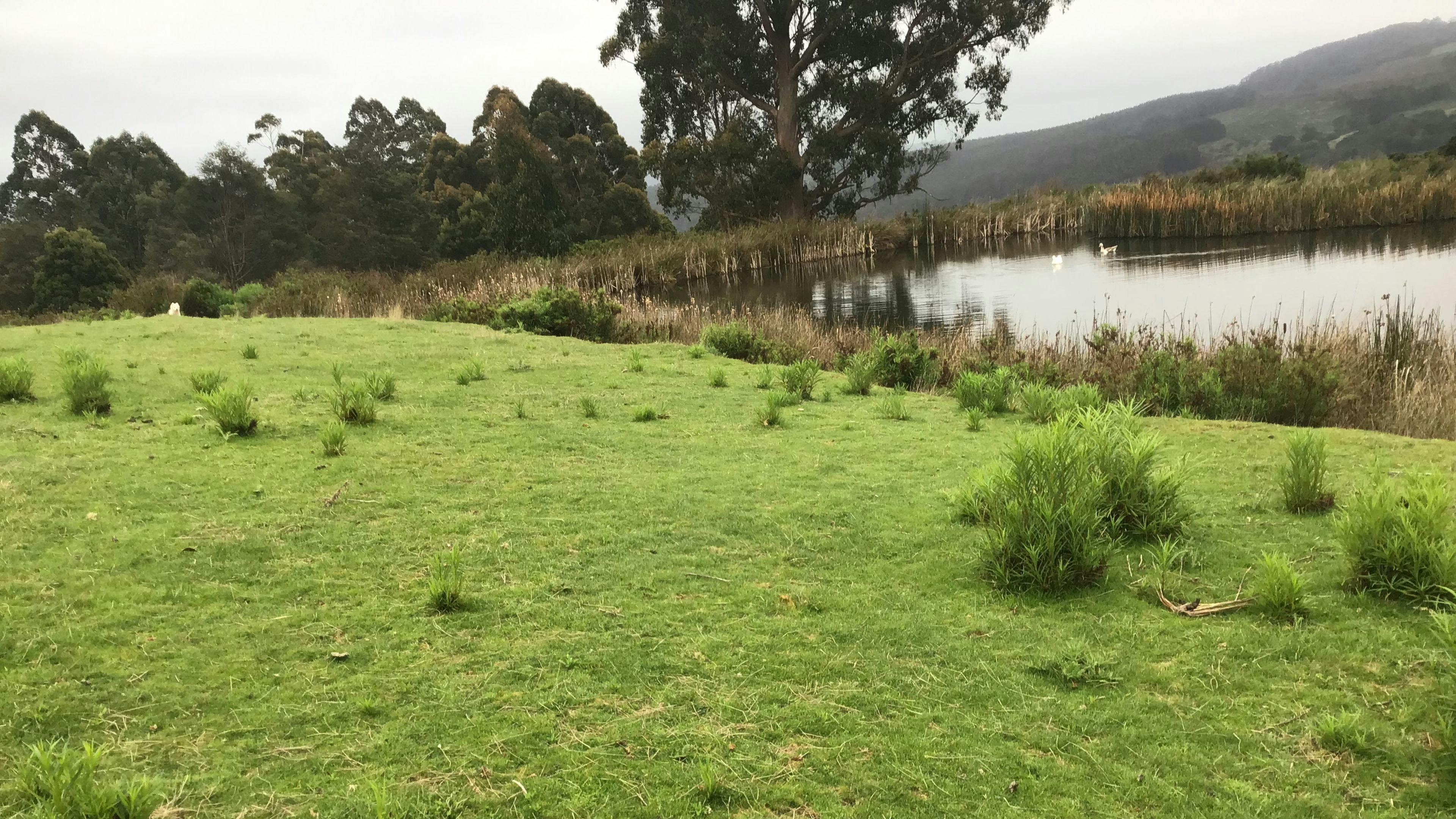 South Preston Dam Camp