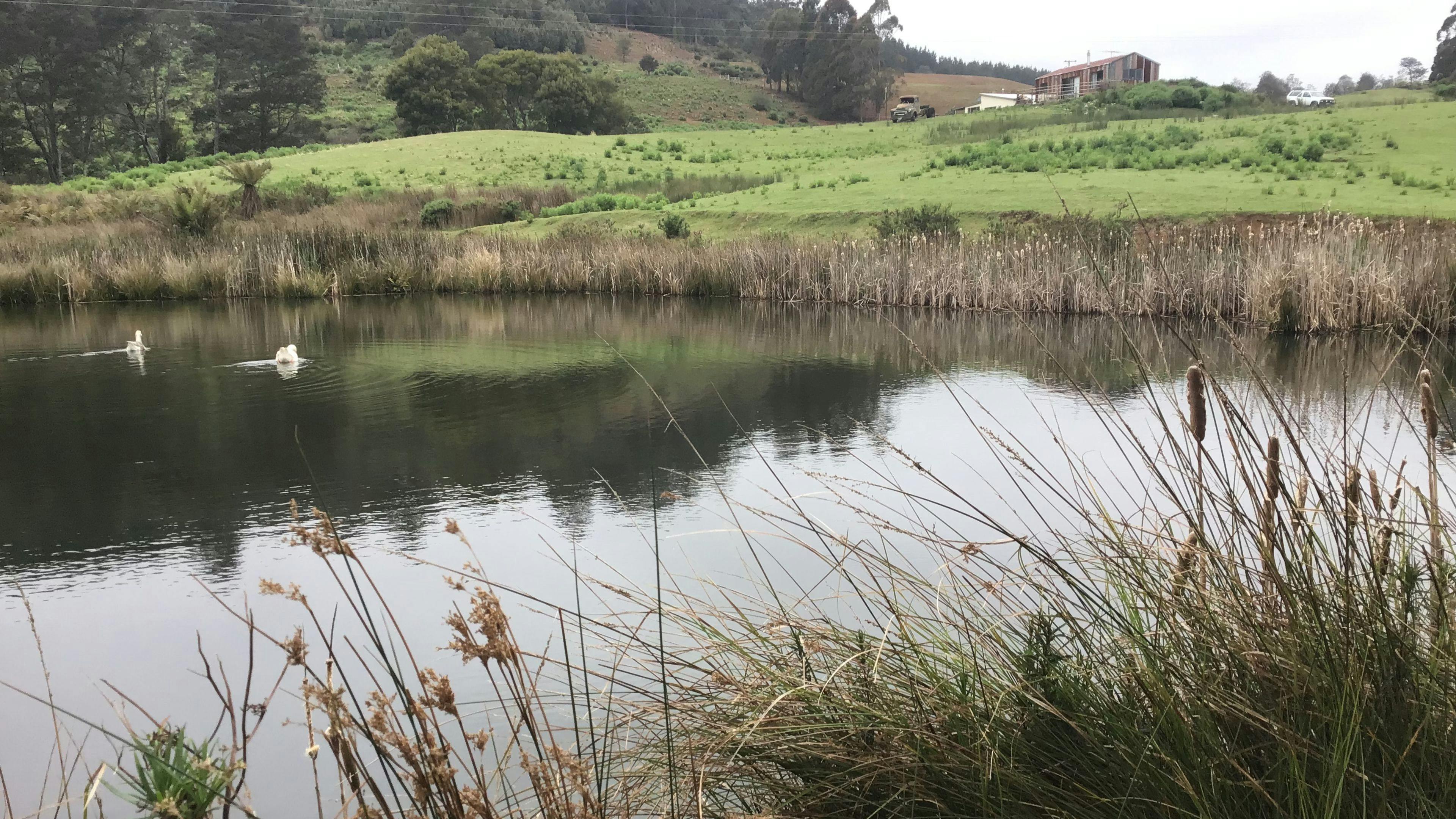 South Preston Dam Camp