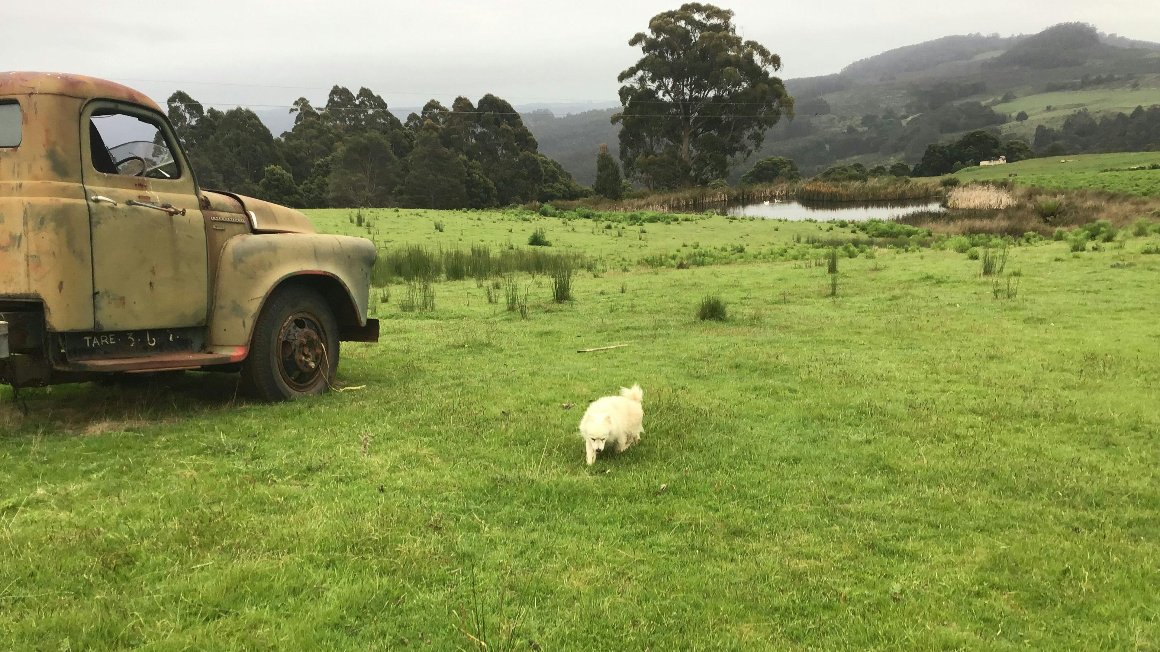 South Preston Dam Camp